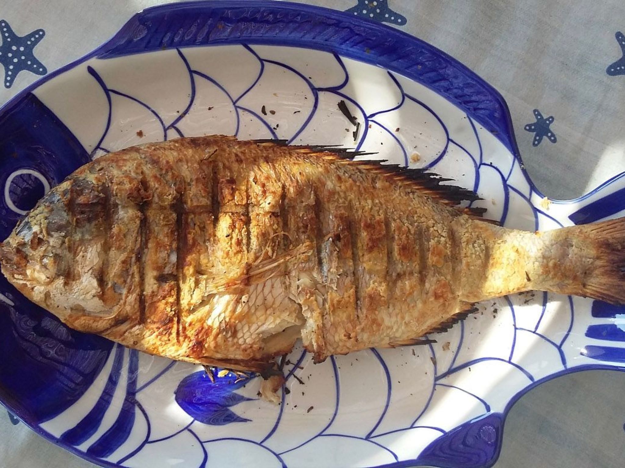 Luxuriöse, ruhige Wohnung direkt am Meer - Privatstrand-Image-tags.info