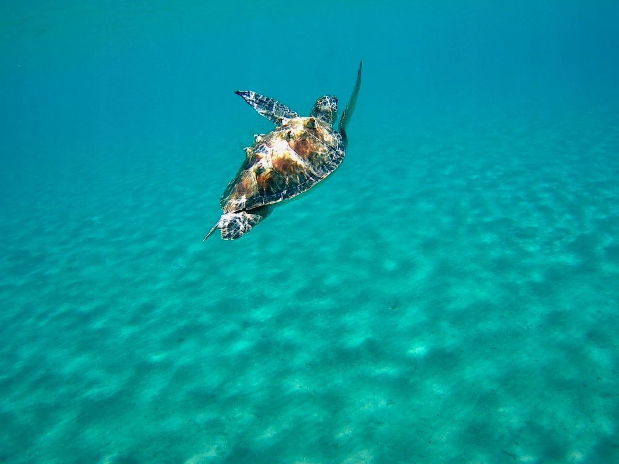 Strandhaus mit atemberaubender Aussicht-Image-tags.info