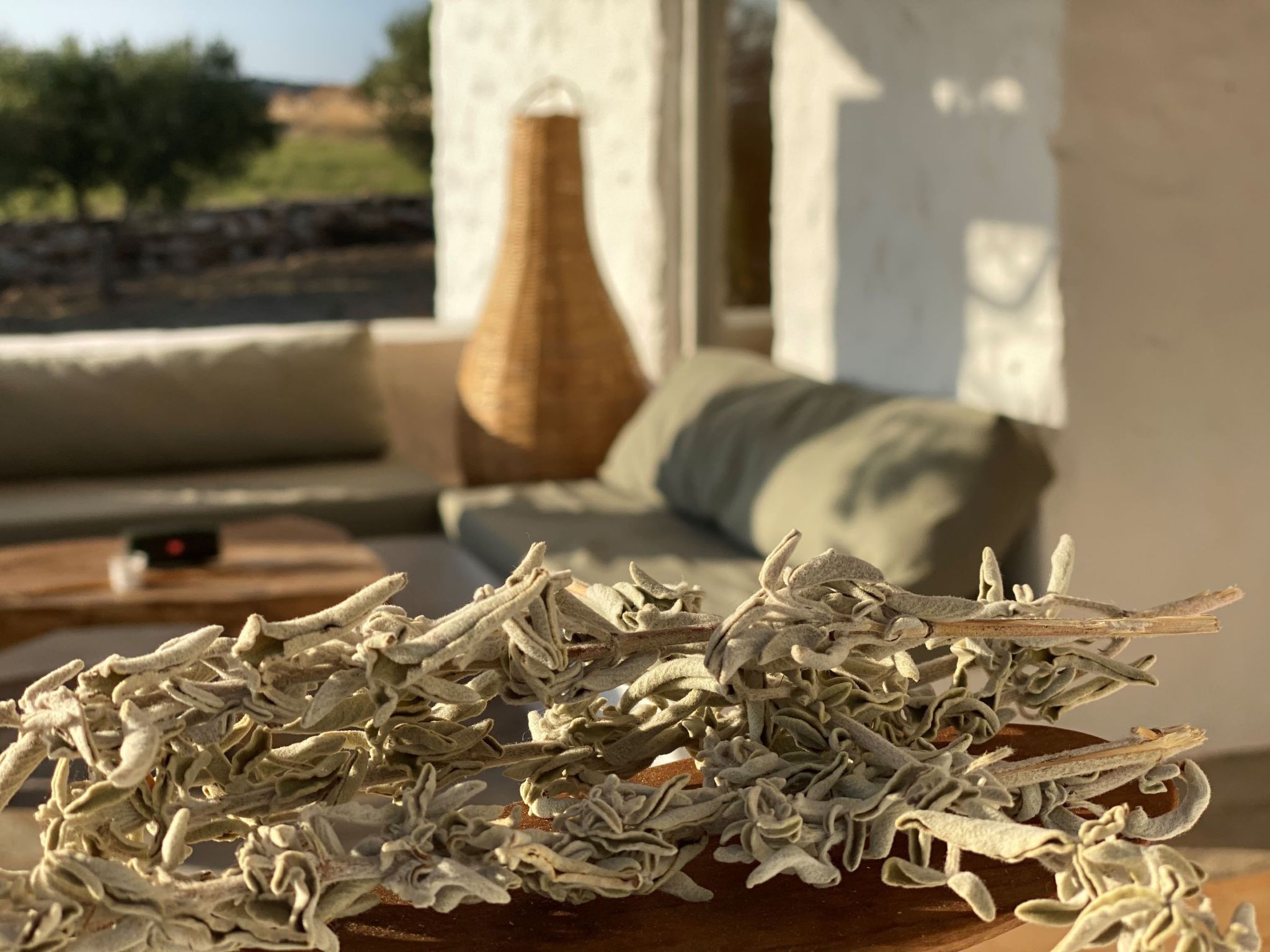 Ferienvilla "Villa Stamata" mit Pool und Garten-Dedans