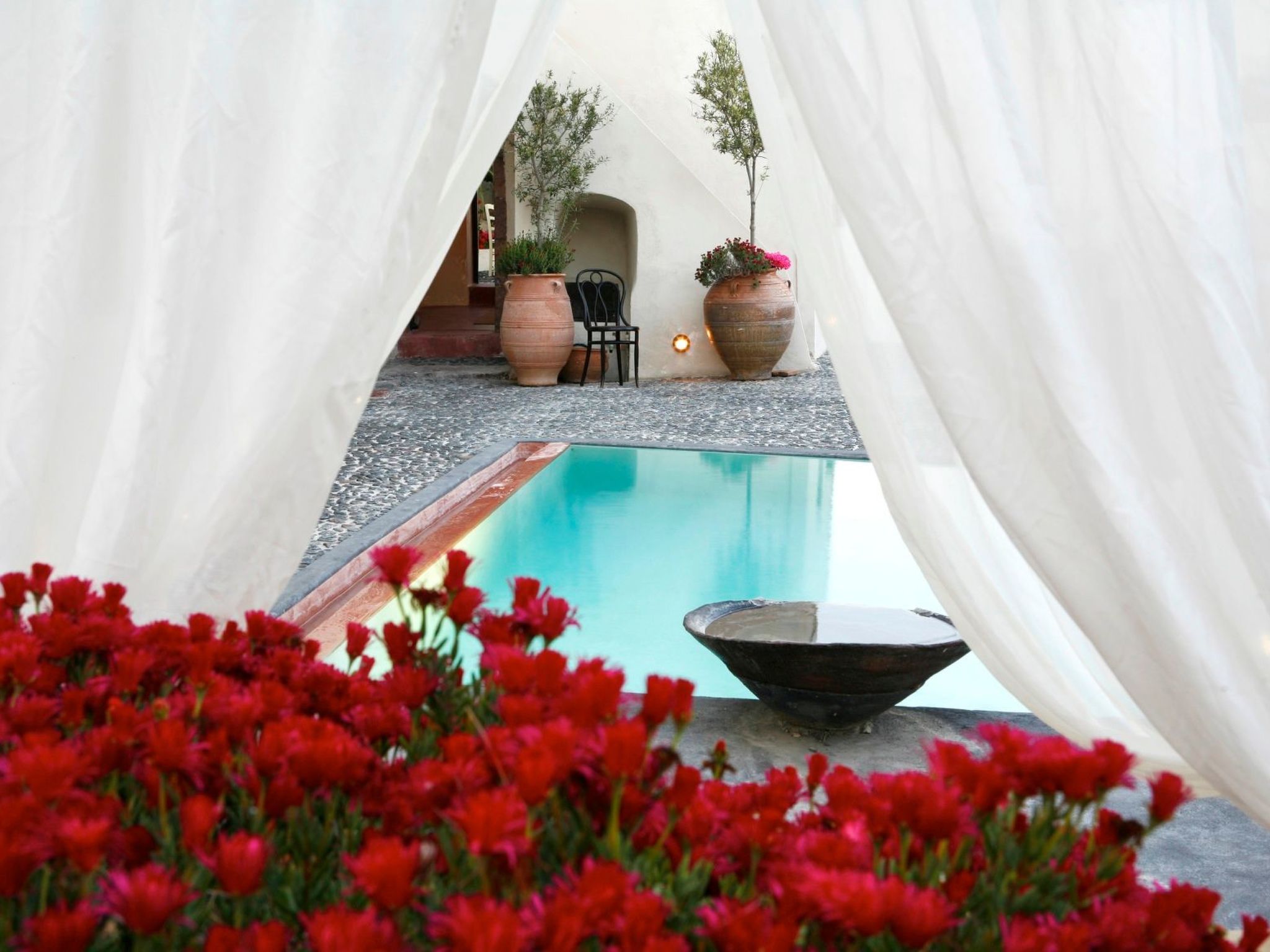 "Sophia"-Image-tags.info