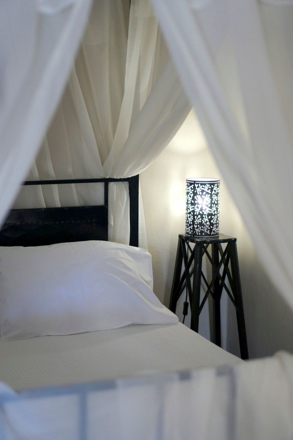 "Sophia"-Image-tags.info