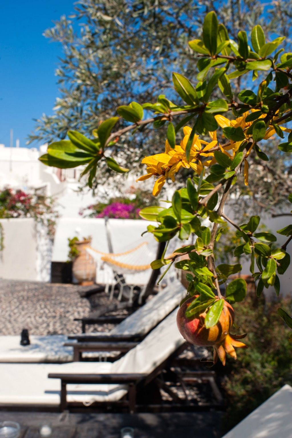 "Sophia"-Image-tags.info