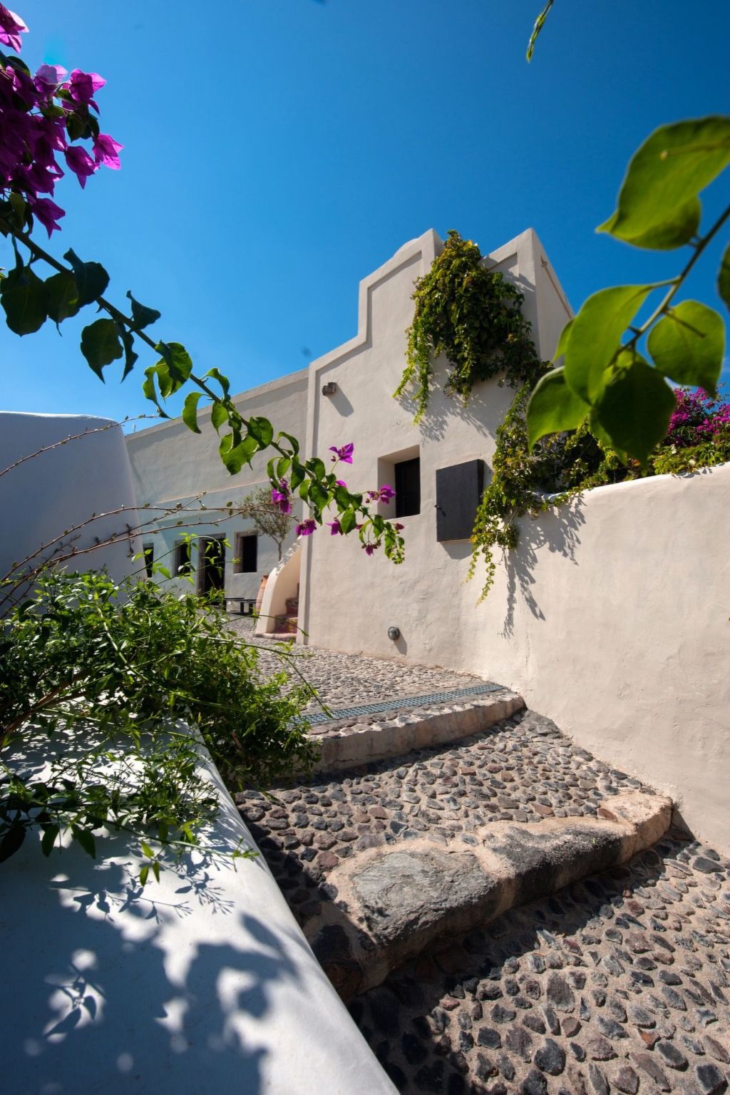 "Sophia"-Image-tags.info