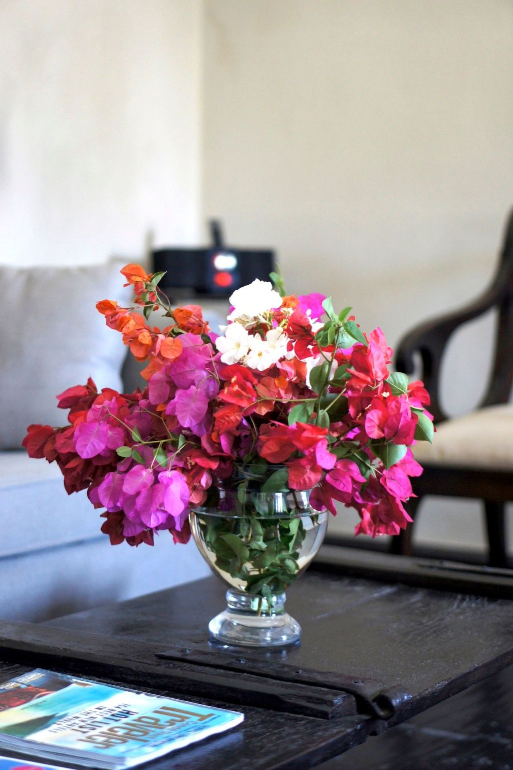 "Sophia"-Image-tags.info