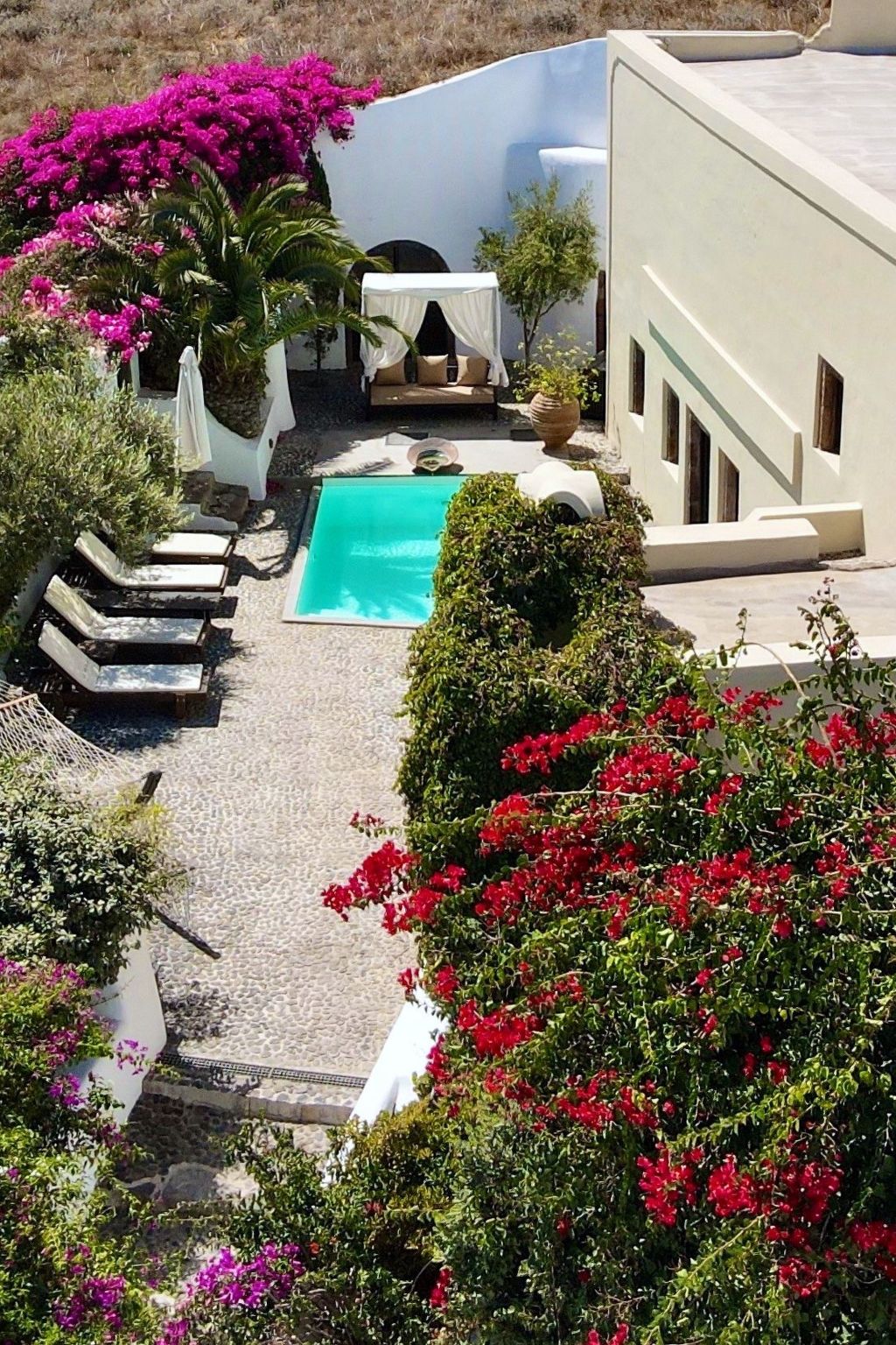 "Sophia"-Image-tags.info