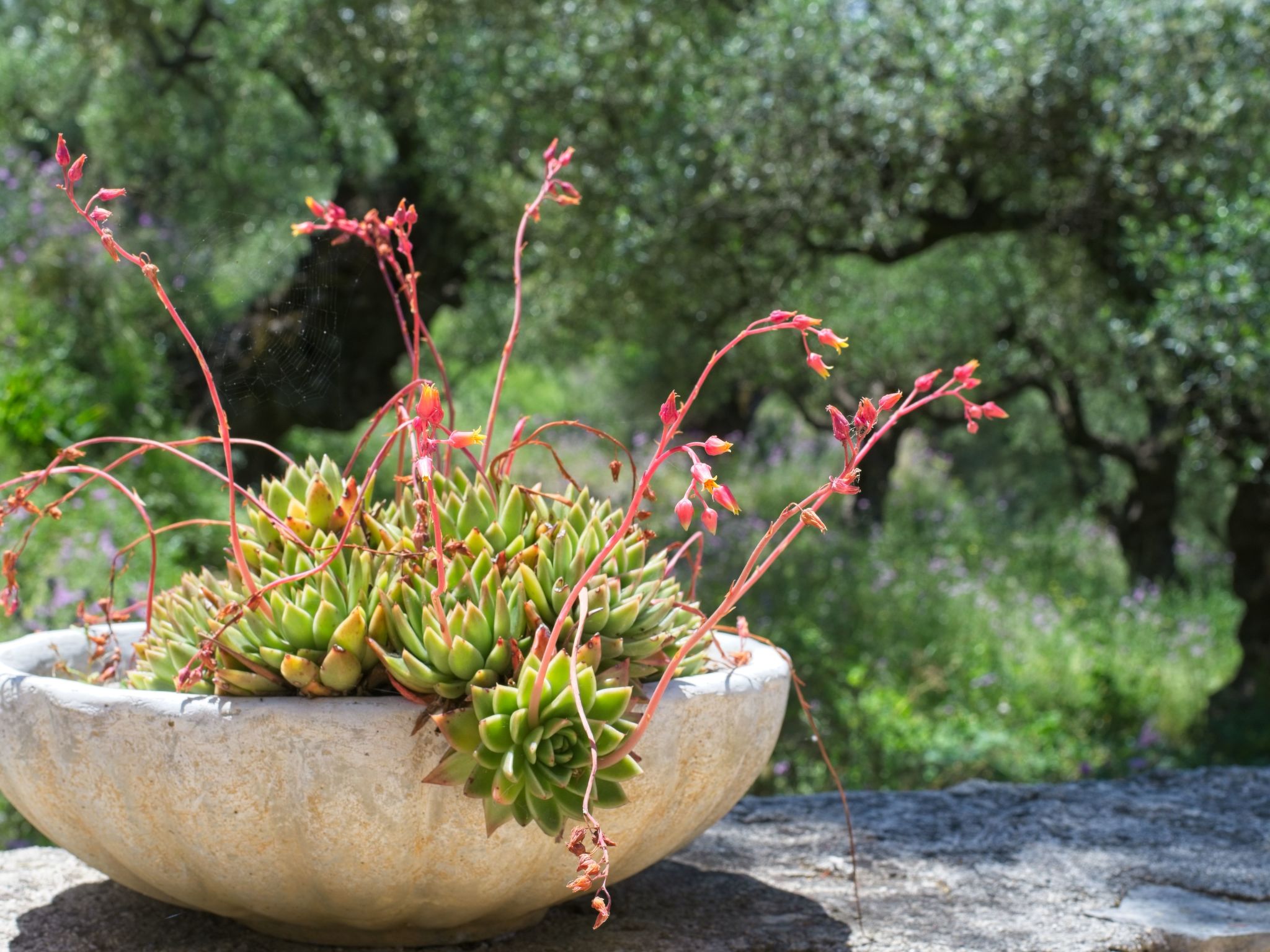 Traditionelle Villa mit privatem Pool-Binnen