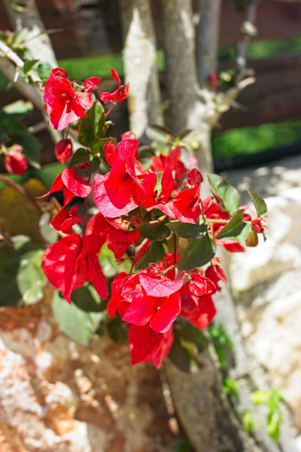 Traditionelle Villa mit privatem Pool-Binnen