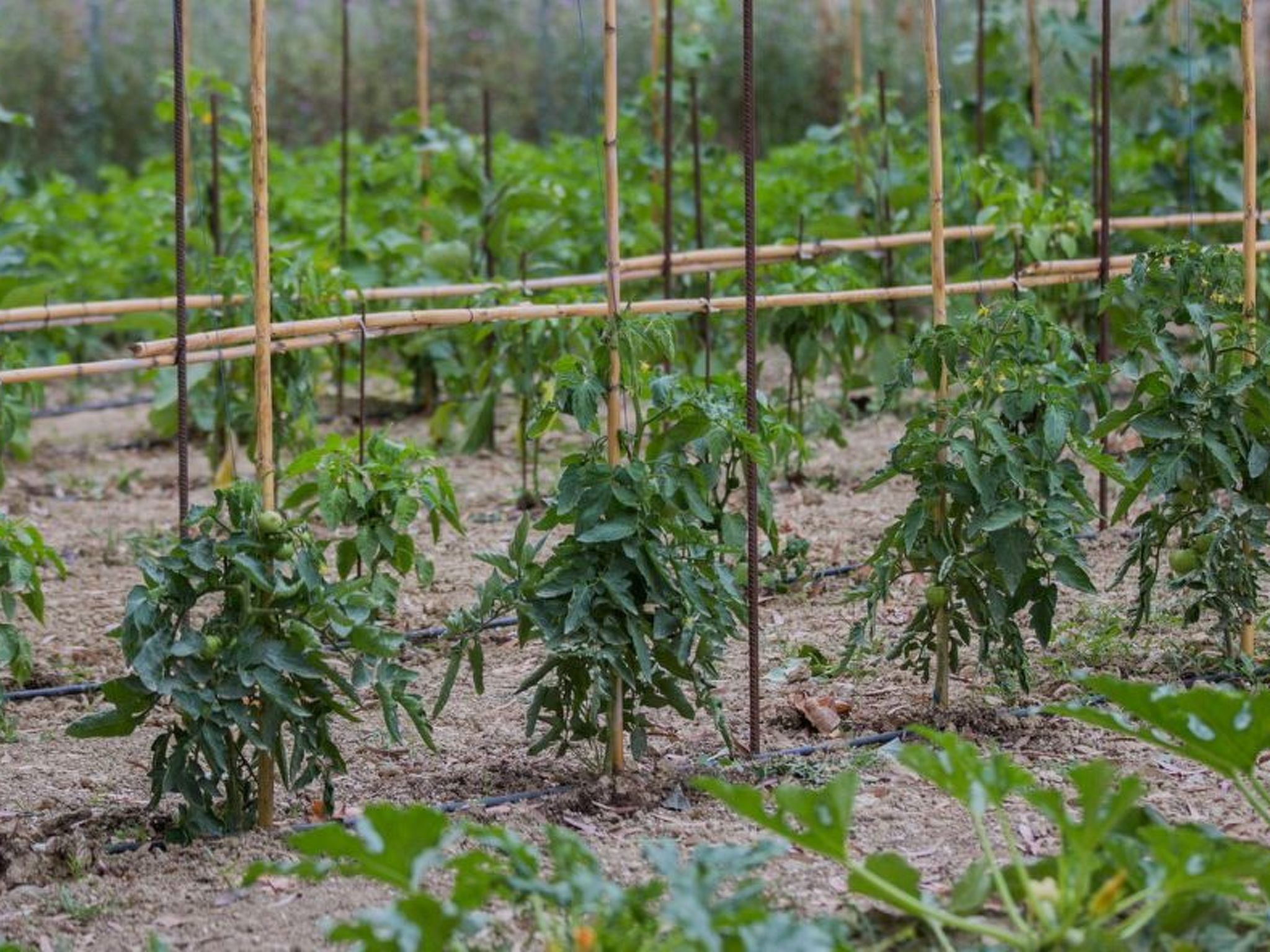 Aneli Luxury Villas, Villa Alexandra 7 Schlafzimmer-Image-tags.info