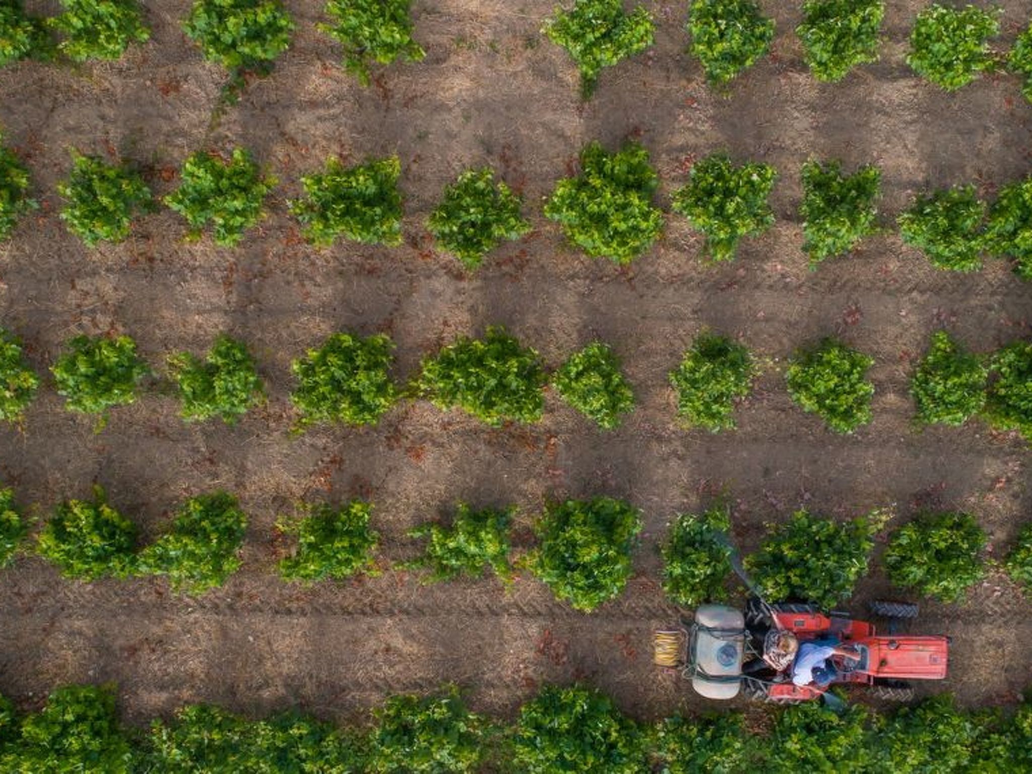 Aneli Luxury Villas, Villa Alexandra 7 Schlafzimmer-Image-tags.info