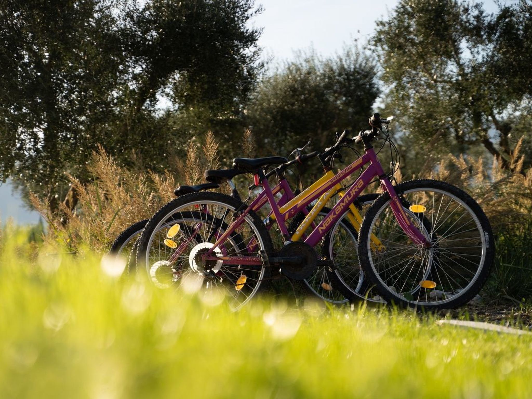 Aneli Luxury Villas, Villa Semeli 7 Schlafzimmer-Image-tags.info