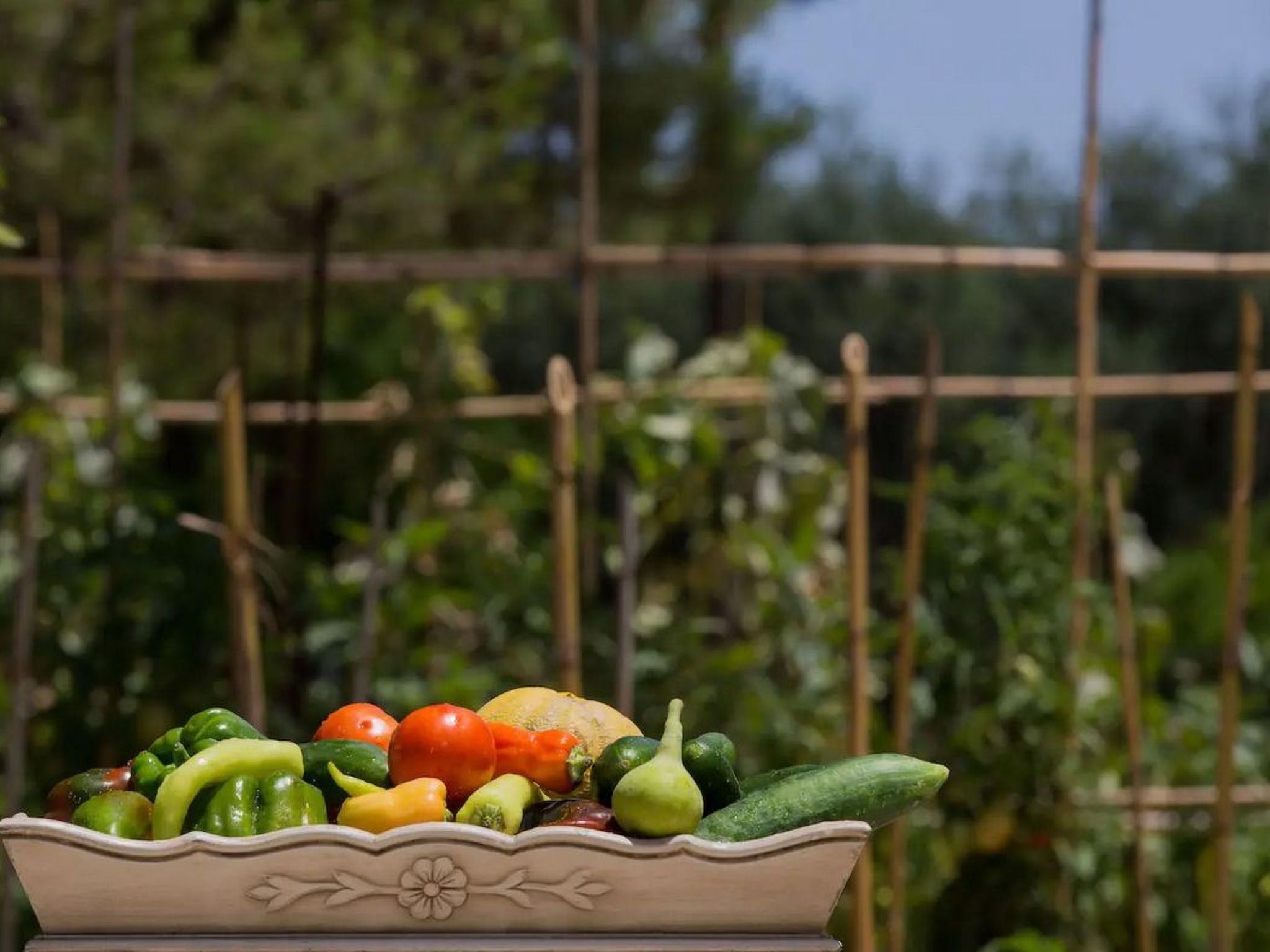 Aneli Luxury Villas, Villa Semeli 7 Schlafzimmer-Image-tags.info