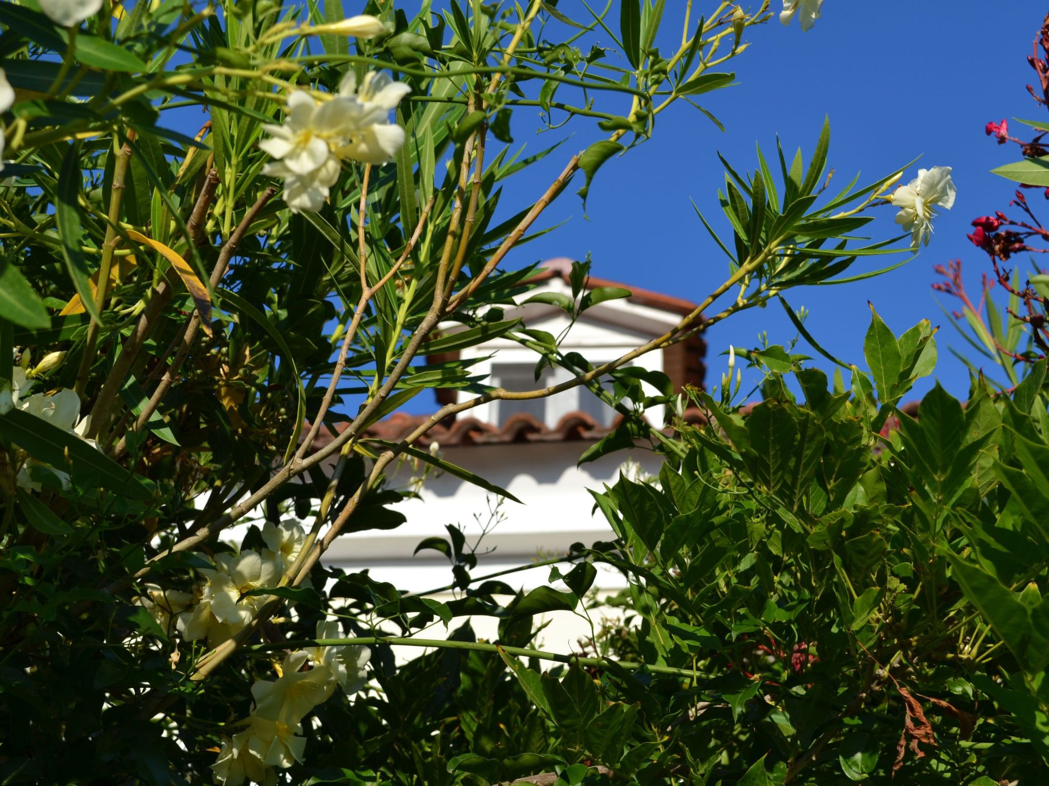 Ruime villa met privézwembad, tuin en zeezicht op 1 km van Zakynthos-stad - foto 25