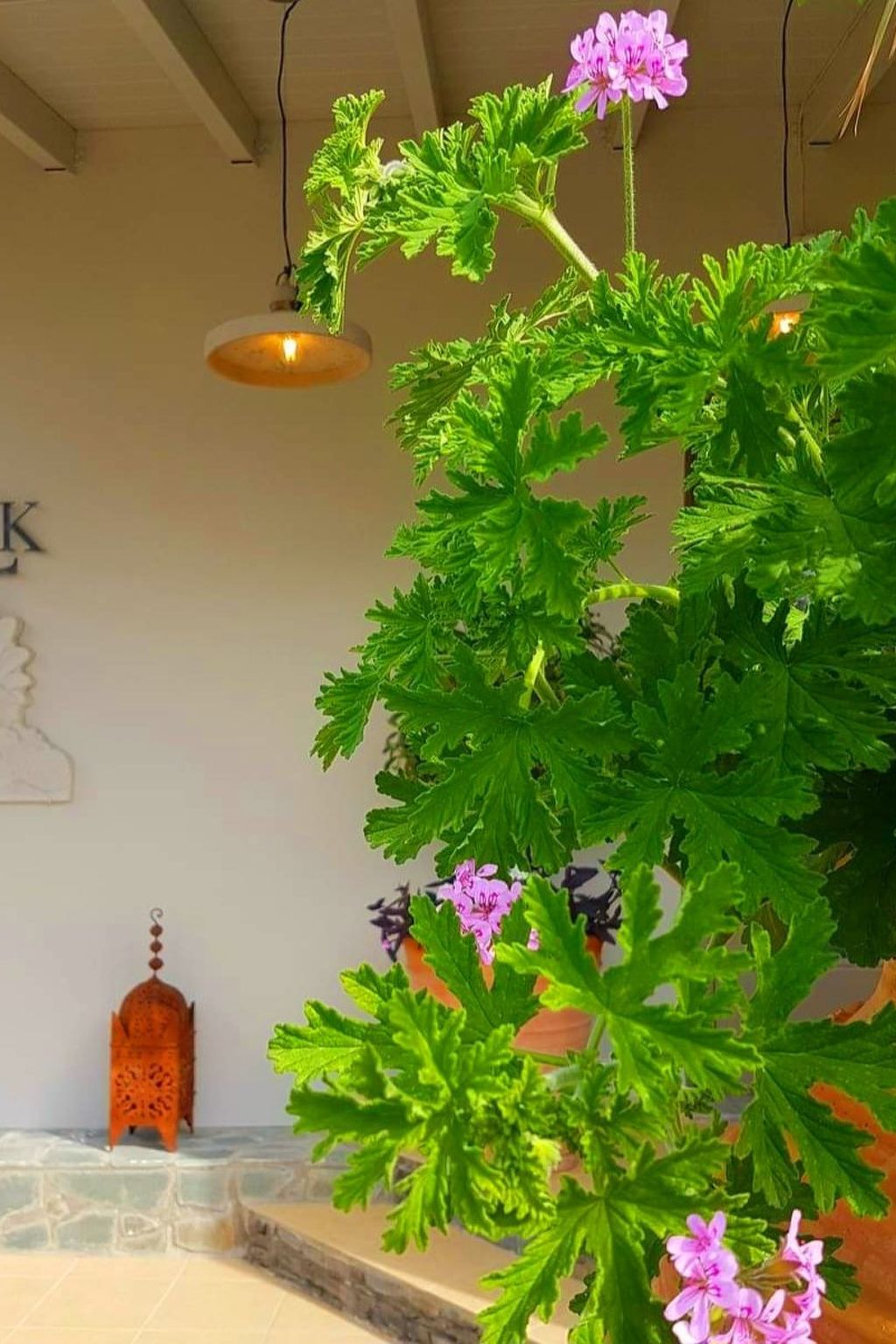 Charmantes Ferienhaus in Lindos mit Privatem Pool und Meerblick-Dehors