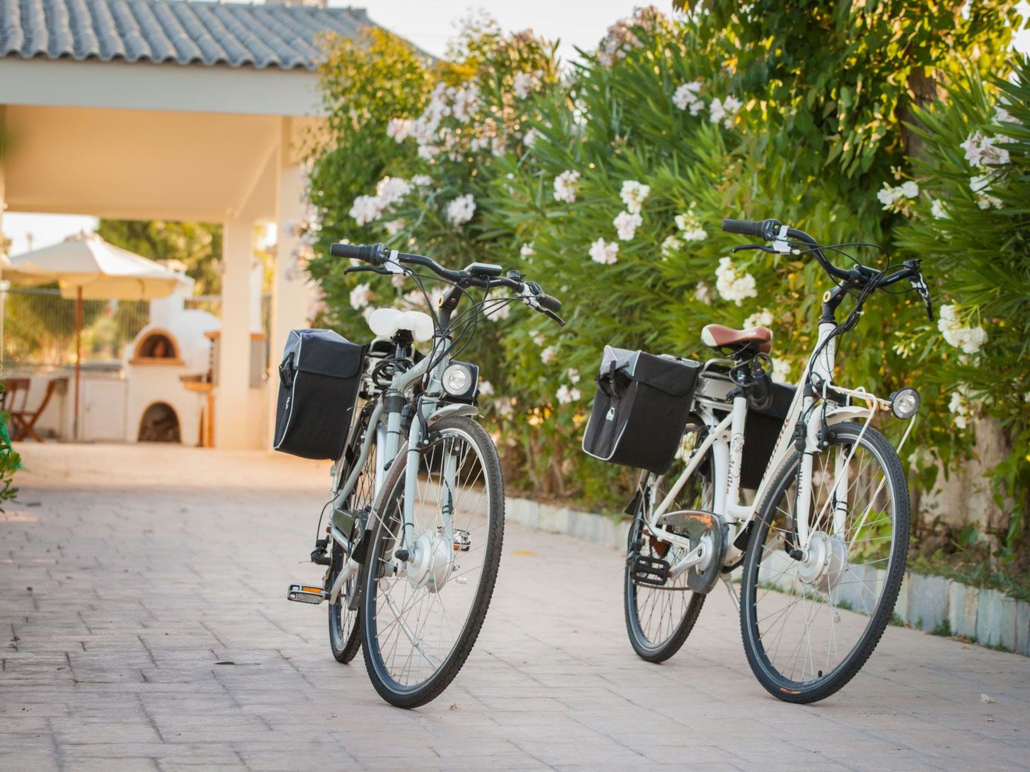 Villa Euphoria, Strand von Gennadi-Image-tags.info