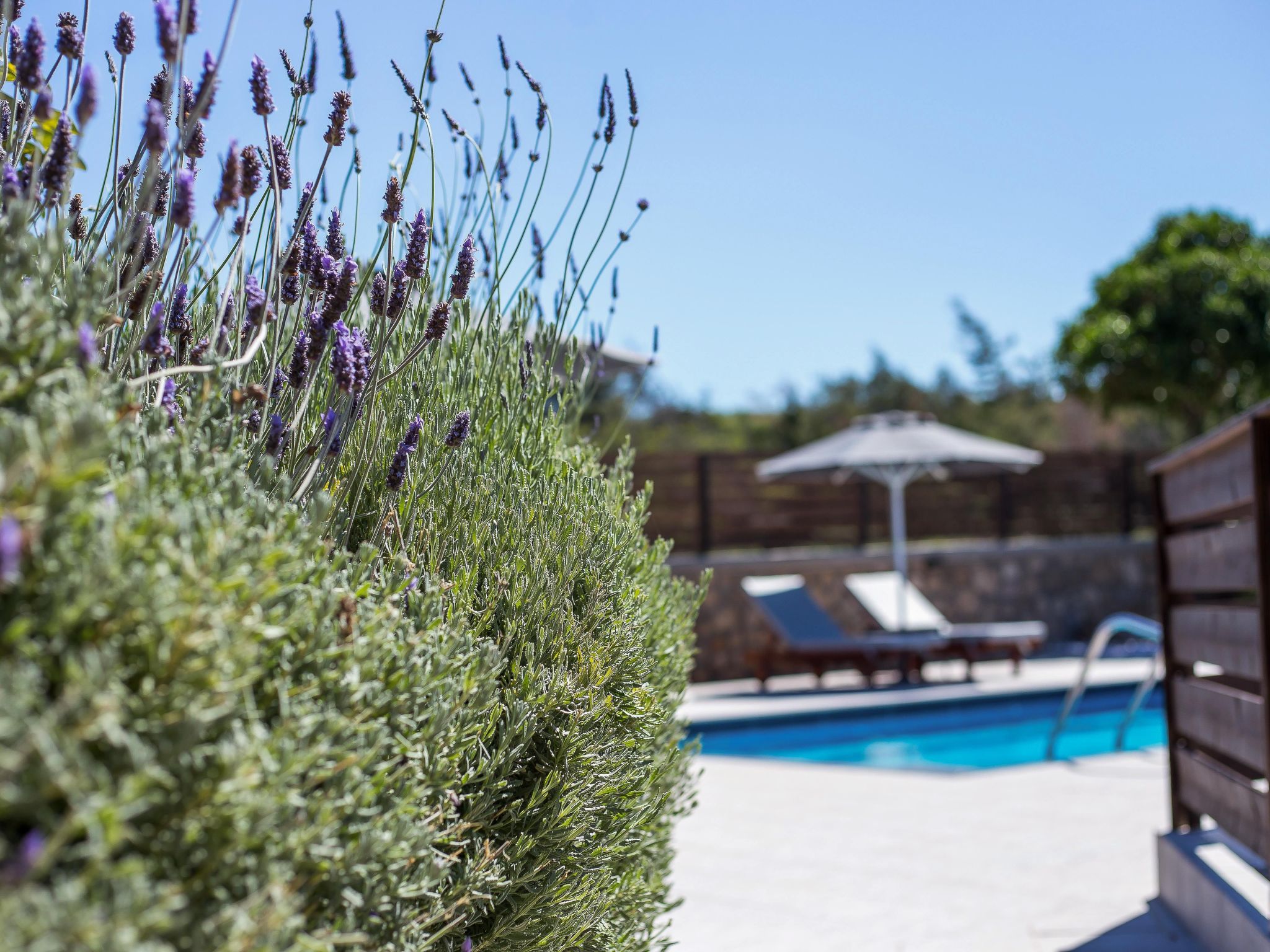 Photo of mit Blick auf das Wasser