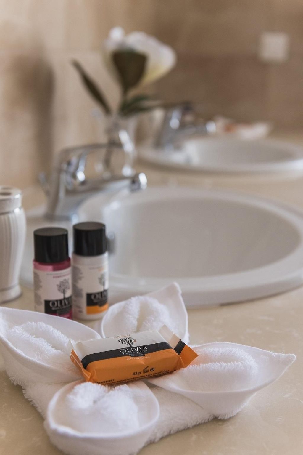 Photo of "Despina's Terrace"