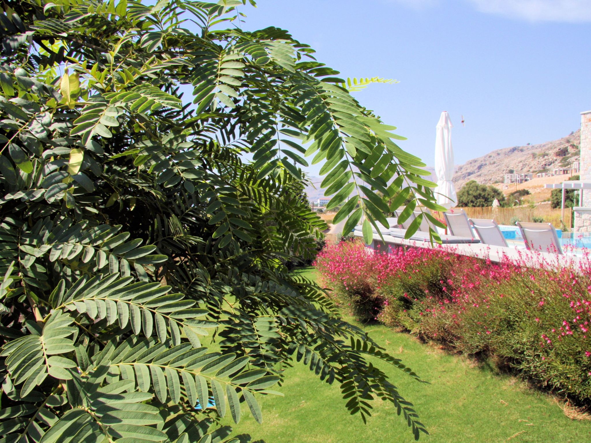 Villa CostaMare - Luxuriöse, neu gebaute Steinvilla-Dehors