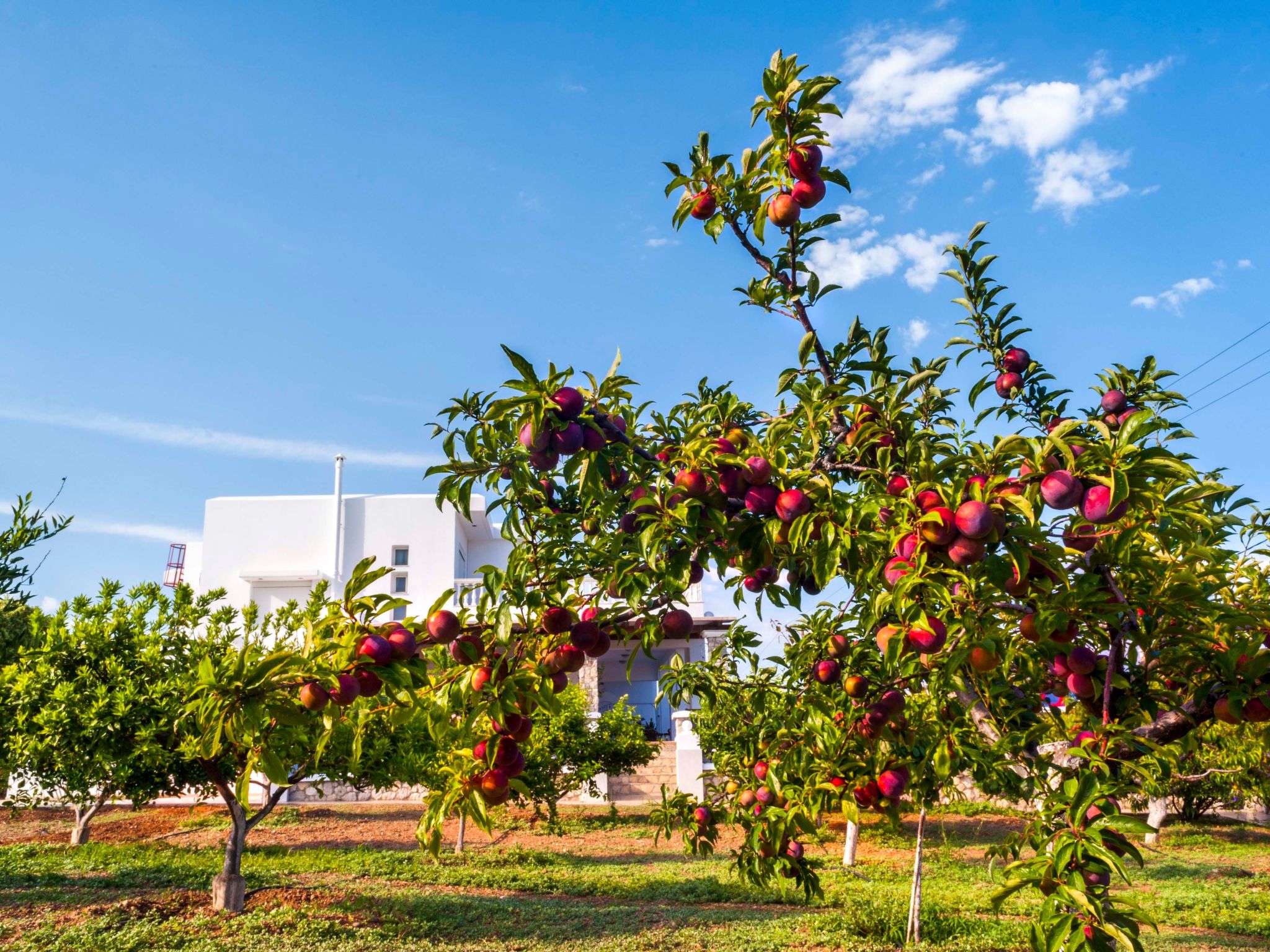 Photo of Ferienvilla Dionysus für 9 Personen