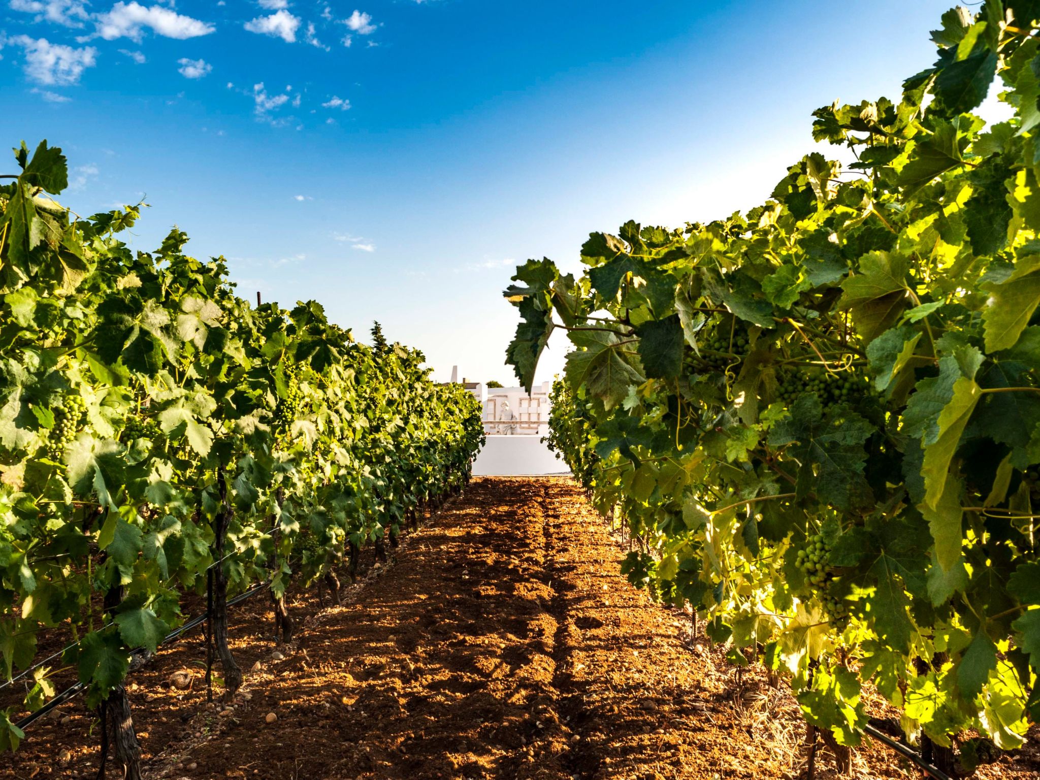 Photo of Ferienvilla Dionysus für 9 Personen