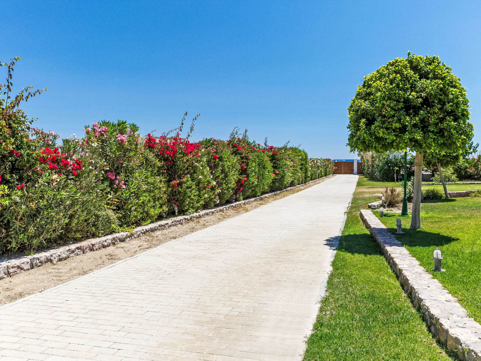 Belvedere Beachfront - Dehors