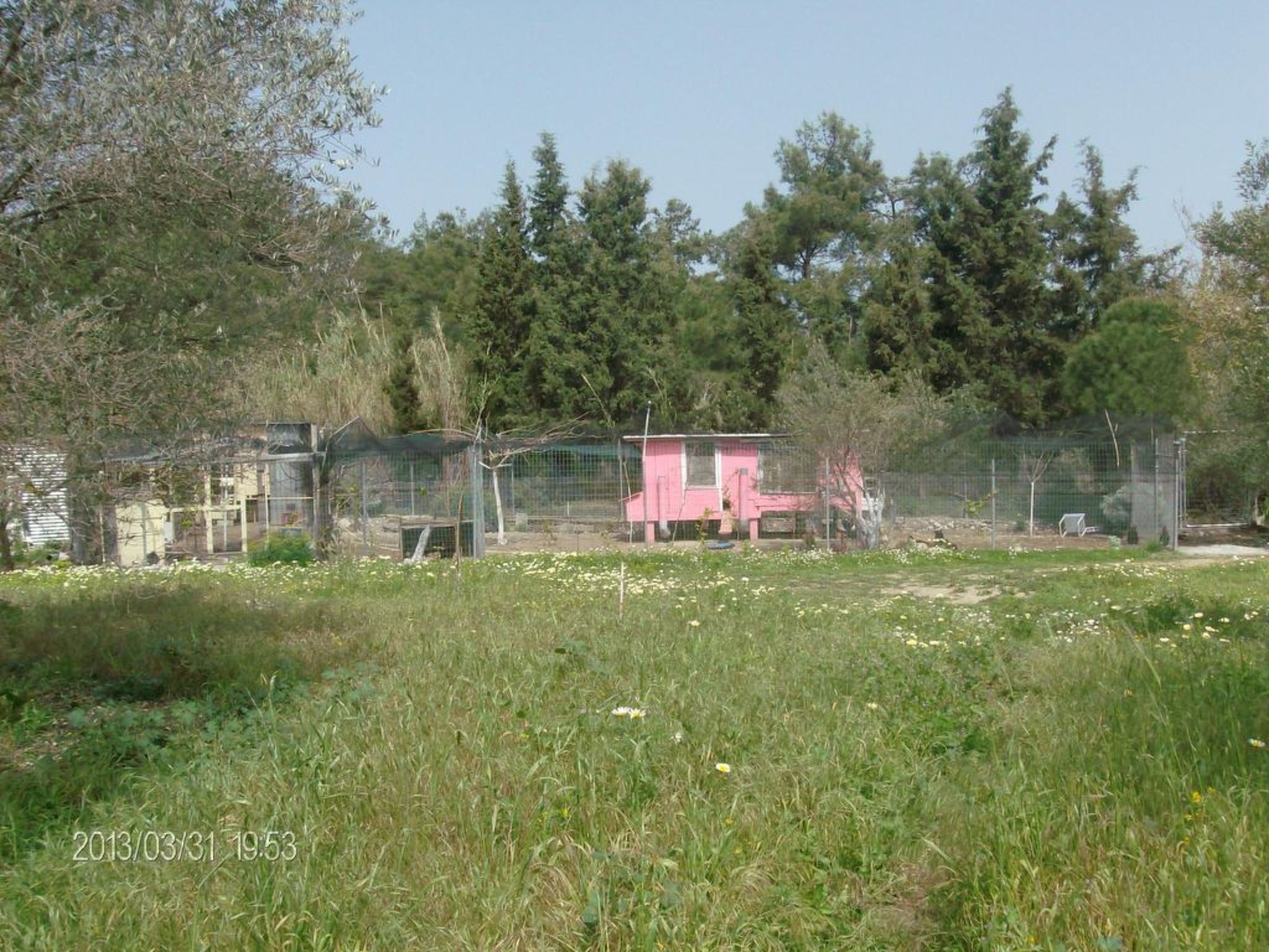 Hütte mit eigenem Garten und Grill-Image-tags.info