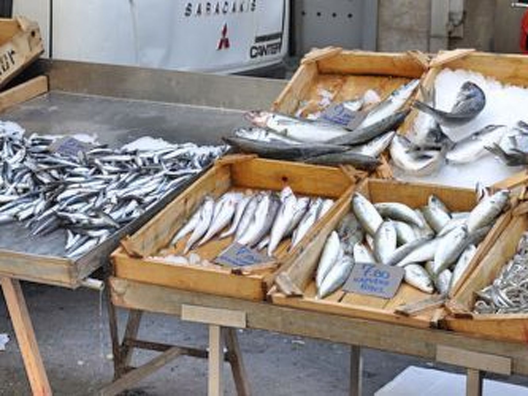 Drei-Zimmer-Wohnung mit Meerblick