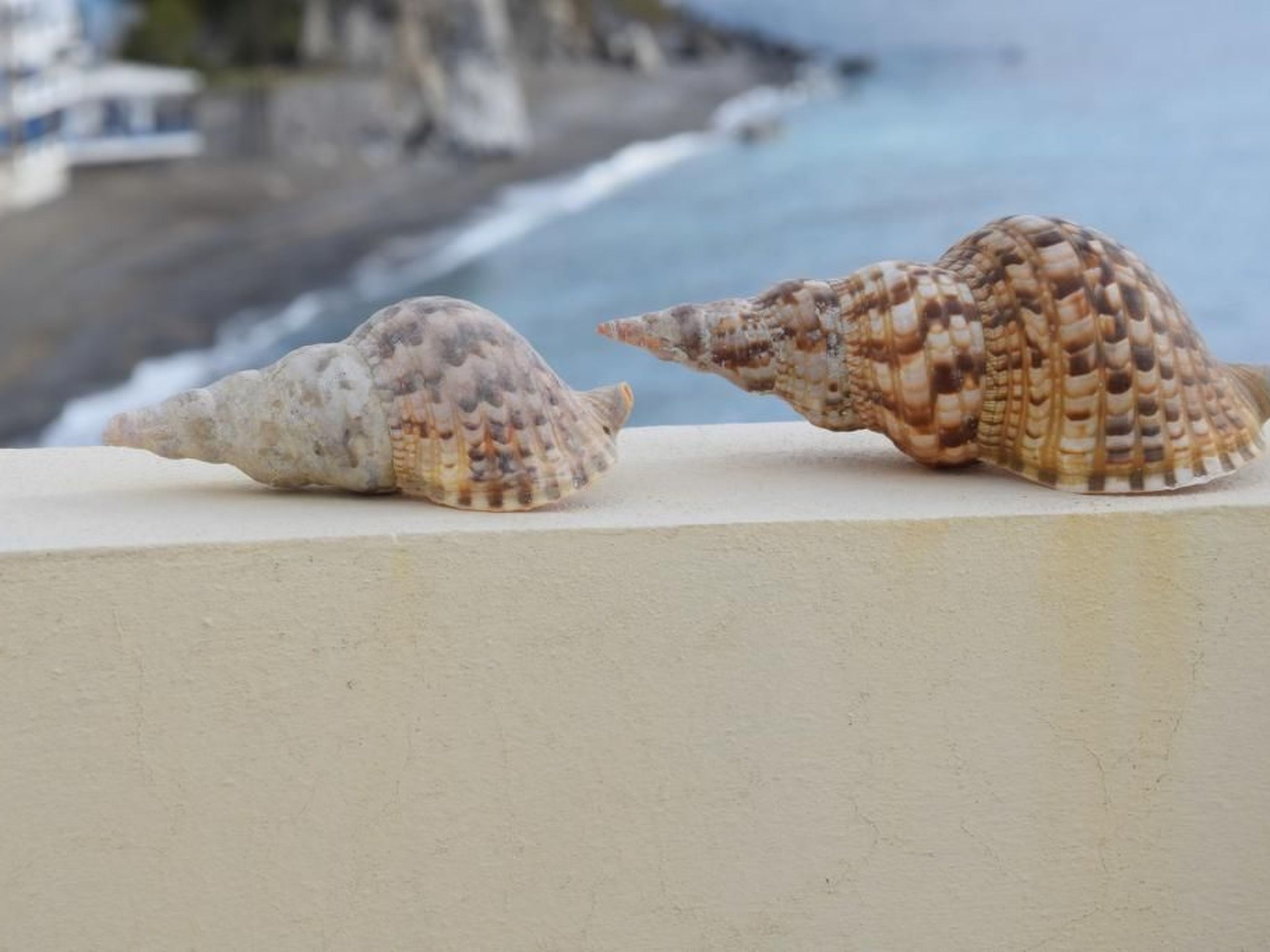 Villa mit 3 Schlafzimmern in einem abgelegenen Dorf-Buiten