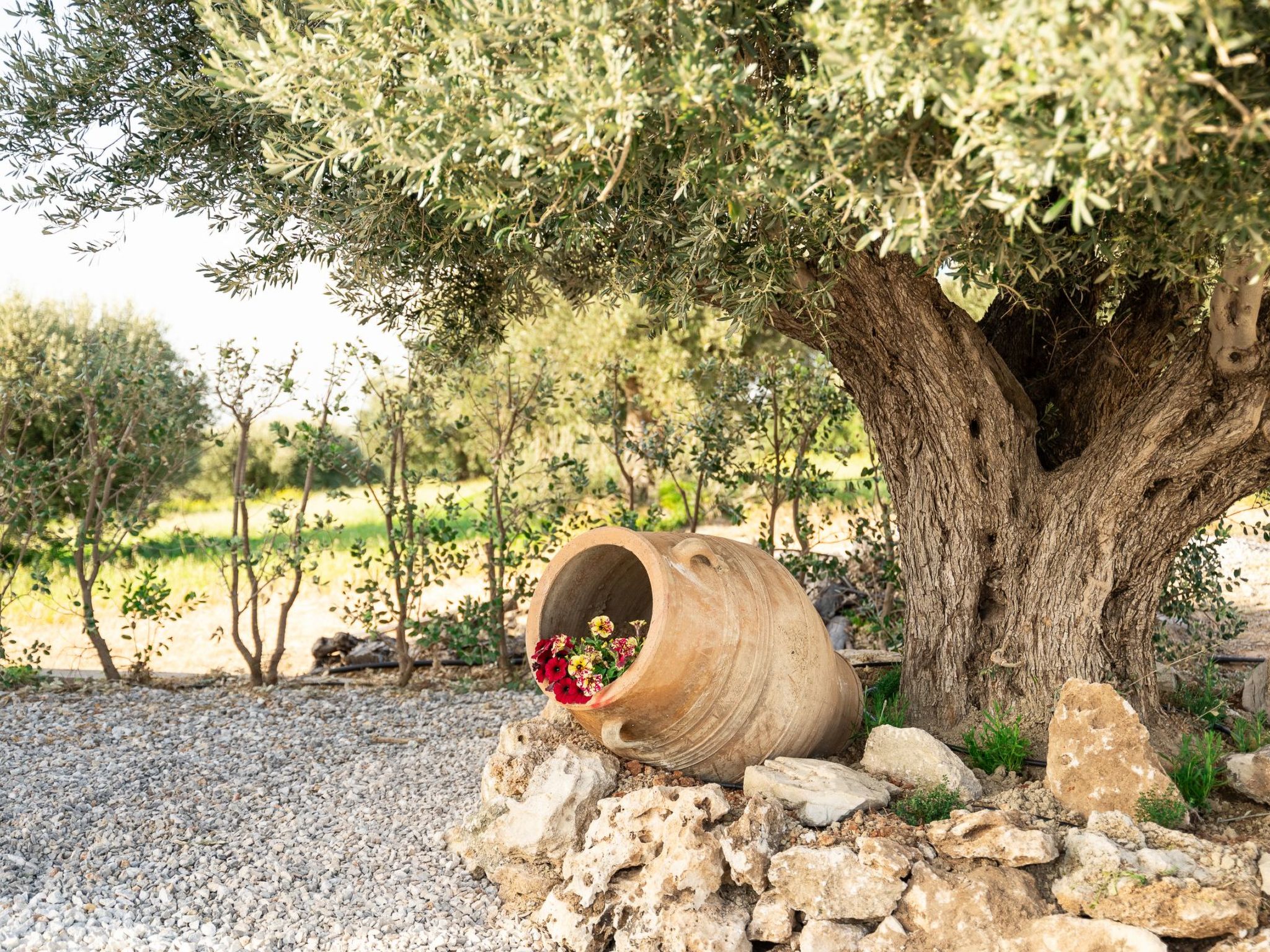 Diktamon Retreat Luxus-Villa-Binnen