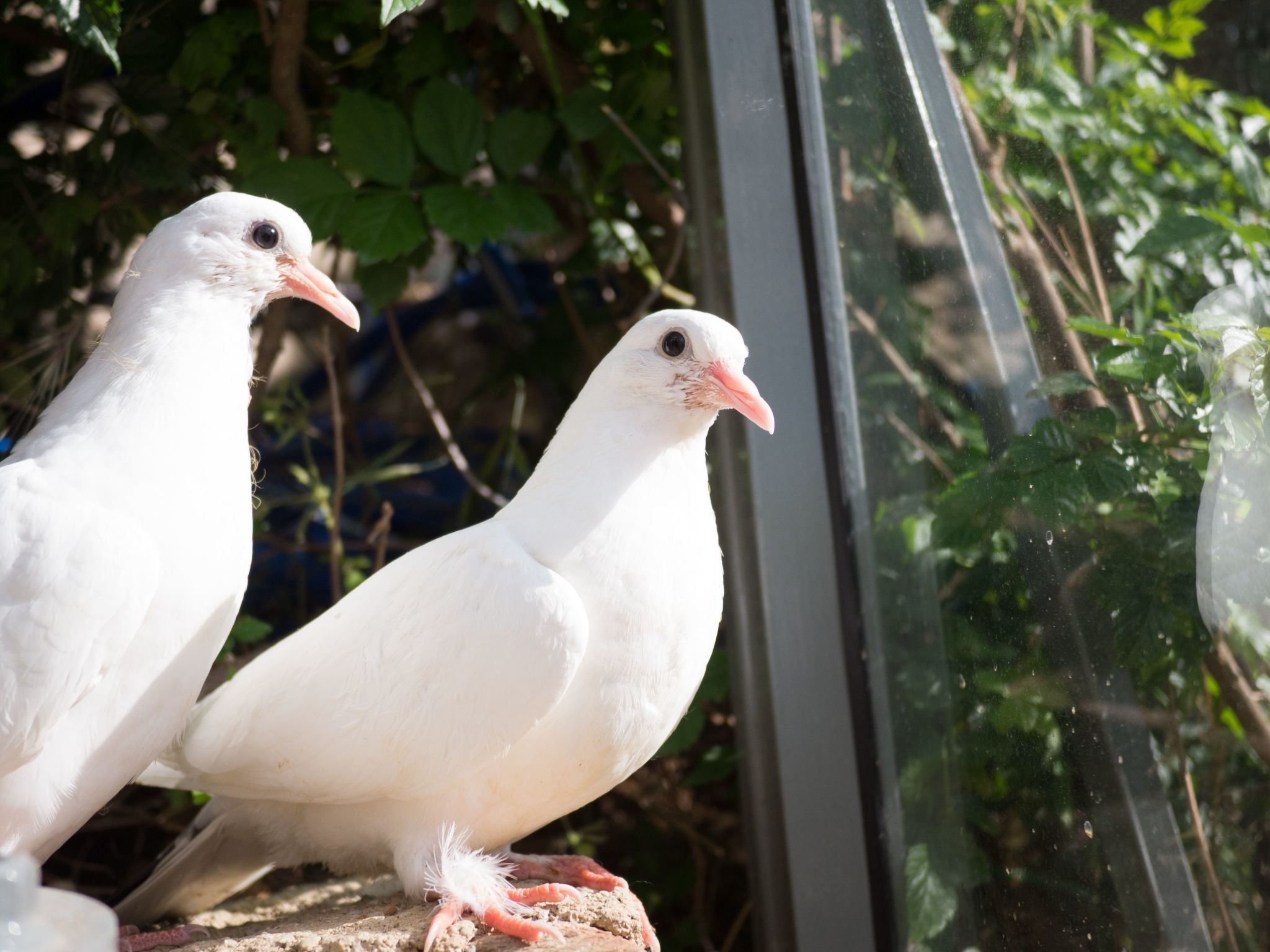 Für 8 Personen in Agia Pelagia, Kreta-Dedans