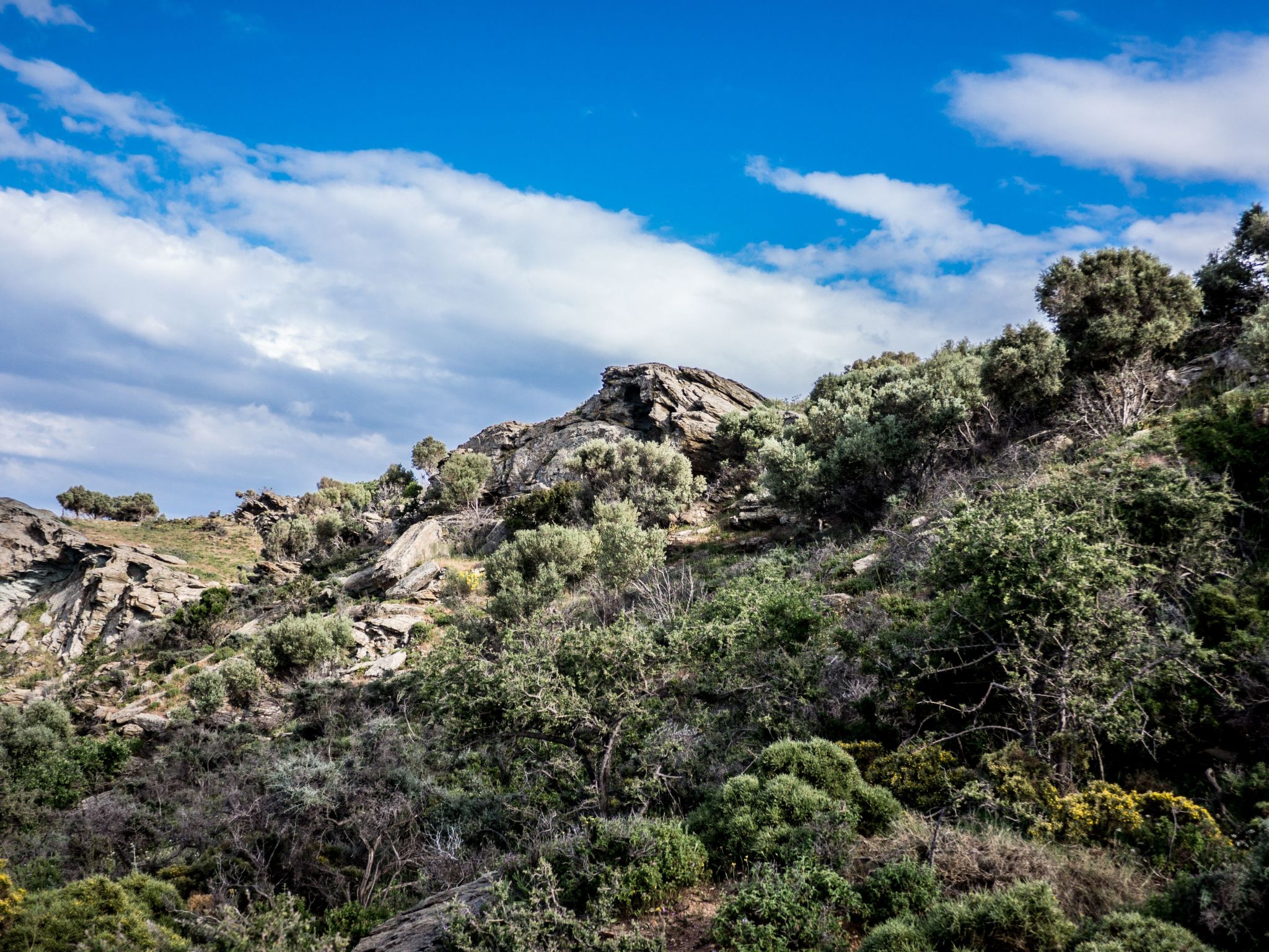 Für 8 Personen in Agia Pelagia, Kreta-Dedans
