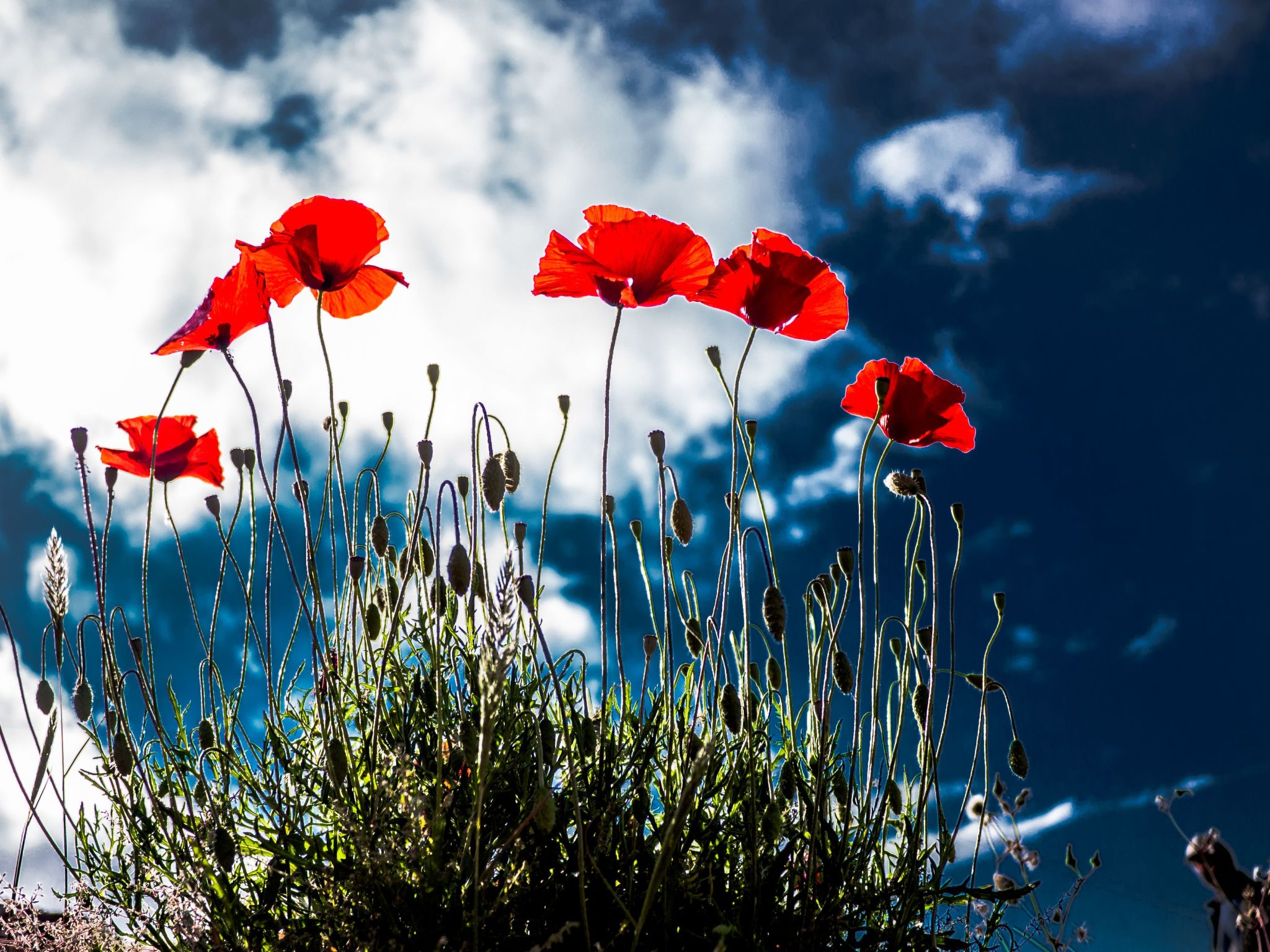 Für 8 Personen in Agia Pelagia, Kreta-Dedans