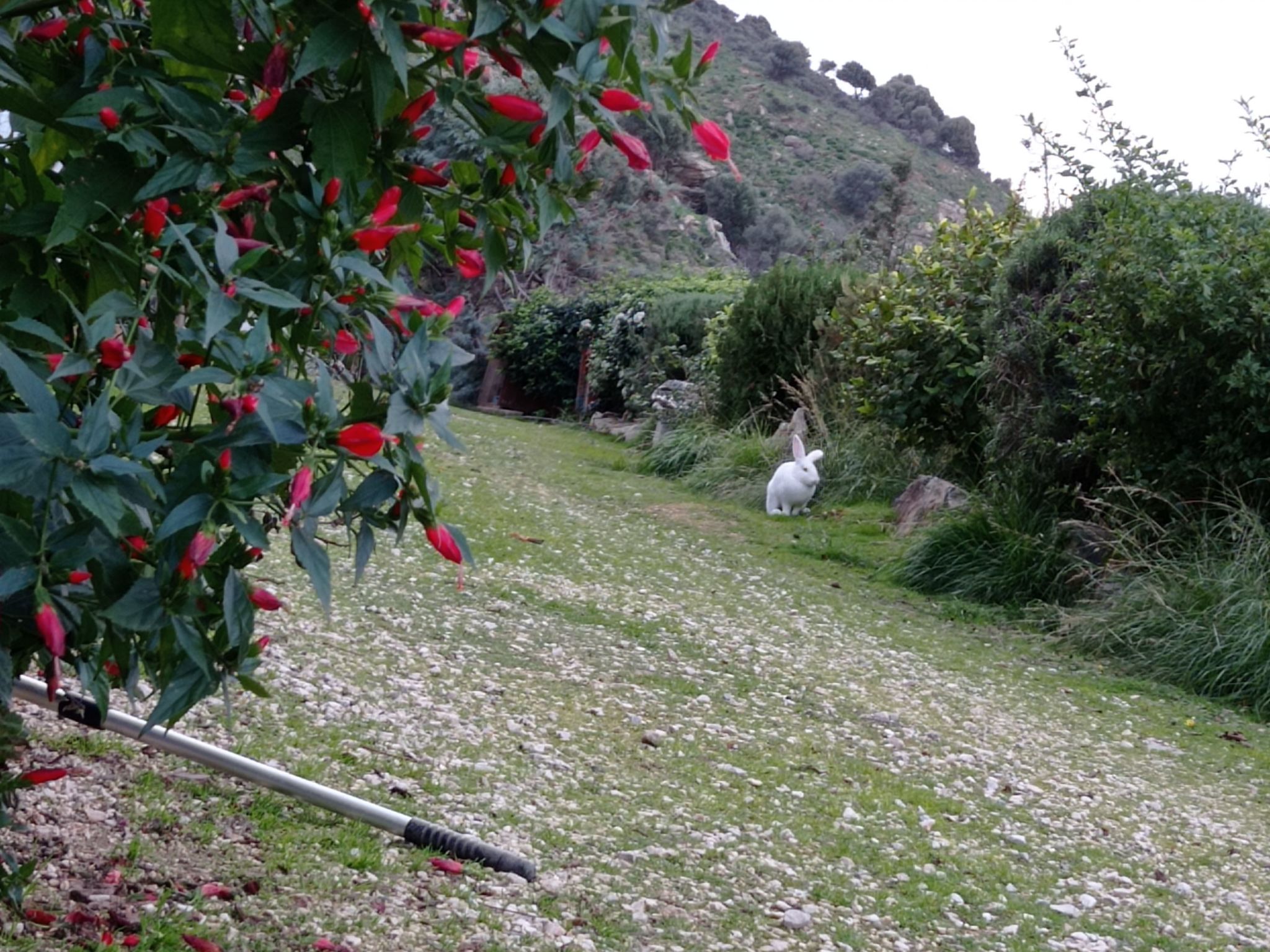 Für 8 Personen in Agia Pelagia, Kreta-Dedans