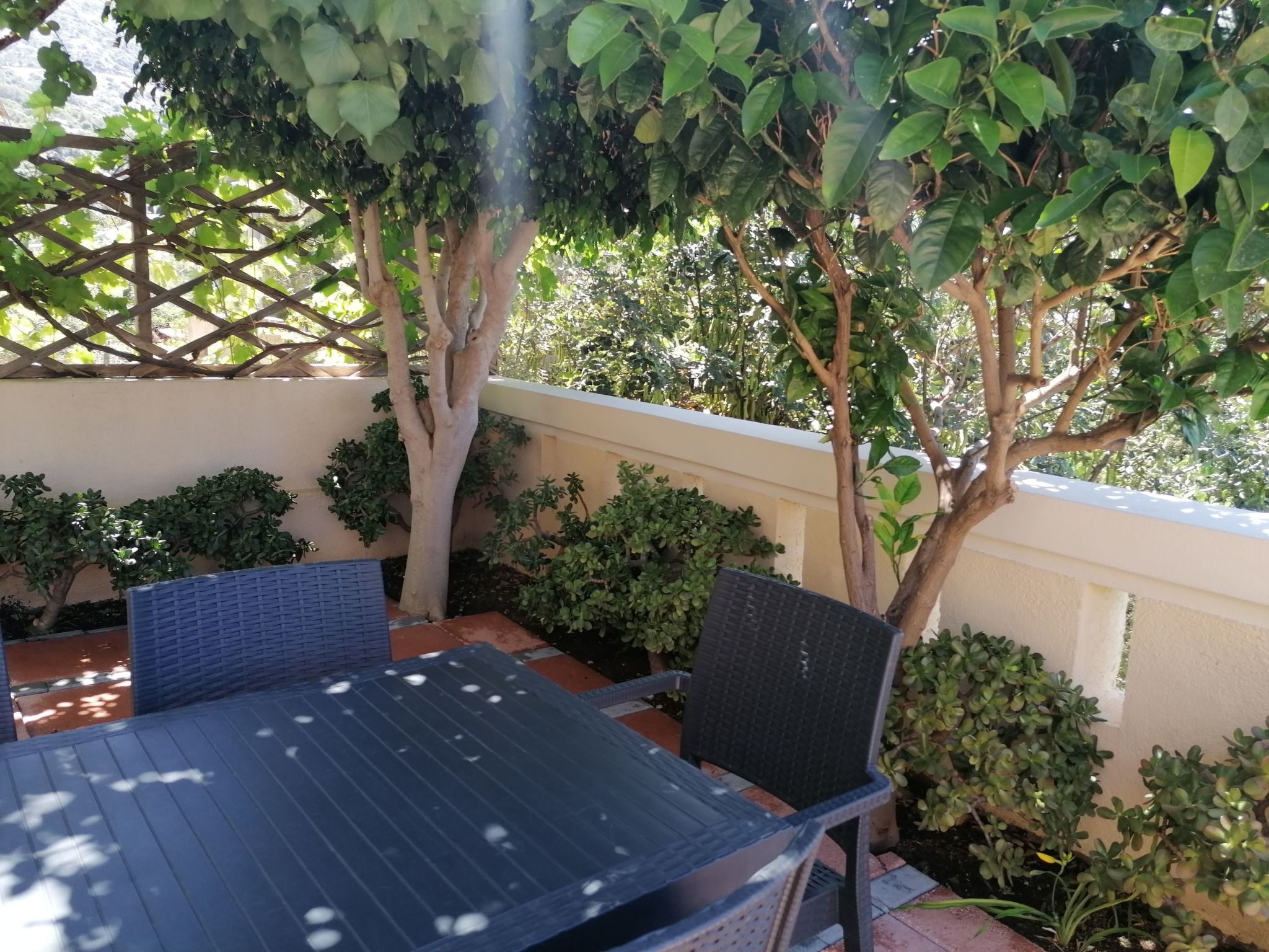 Wohnung "Terrasse am Pool"-Binnen