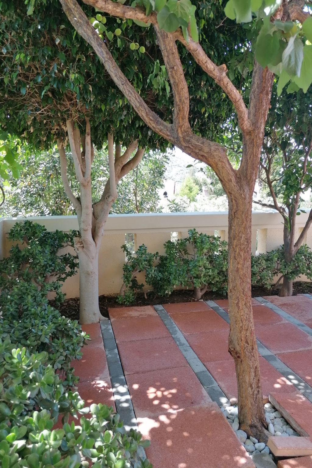 Wohnung "Terrasse am Pool"-Binnen