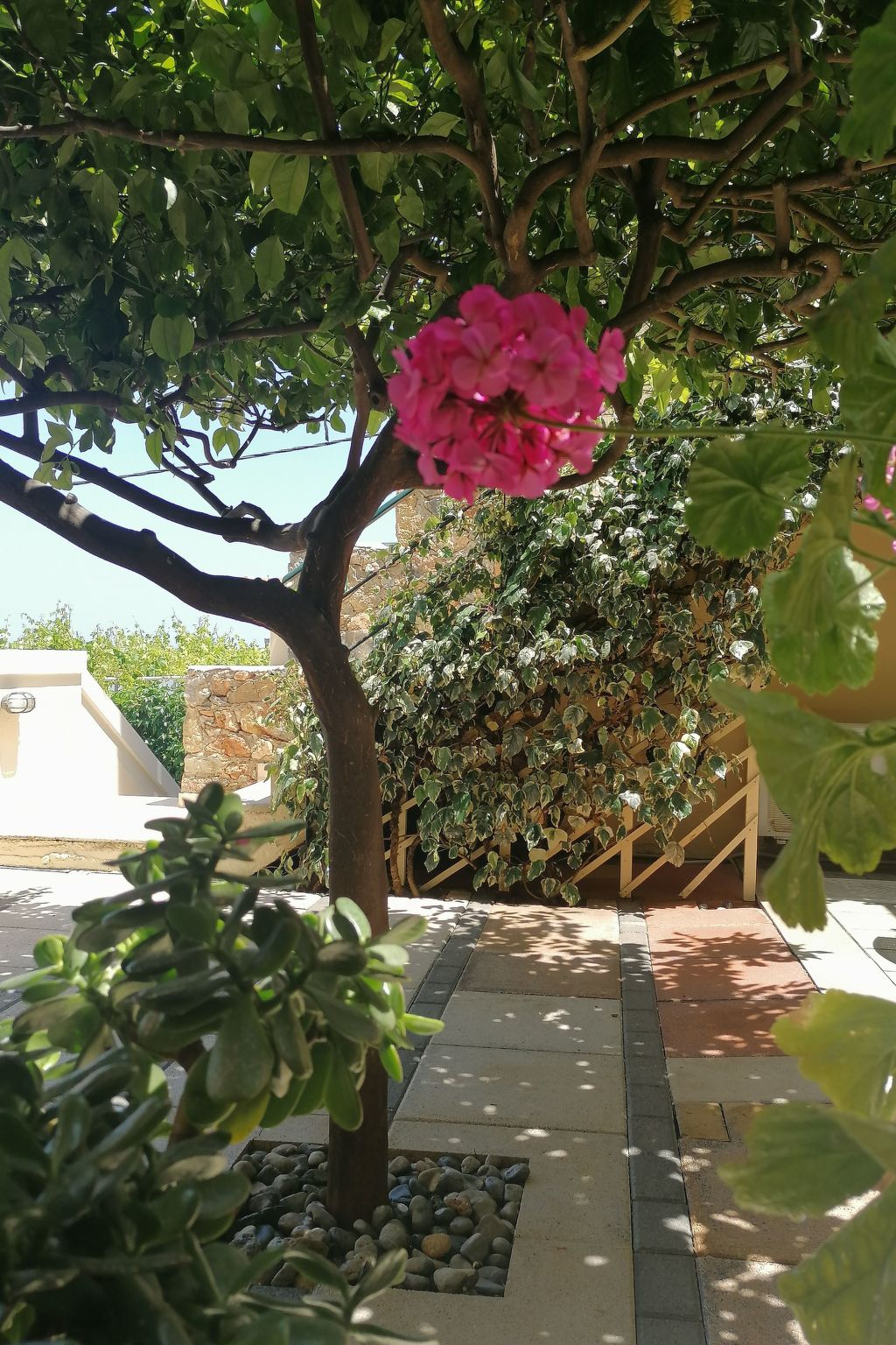 Wohnung "Zitronenbaum-Terrasse"-Inside