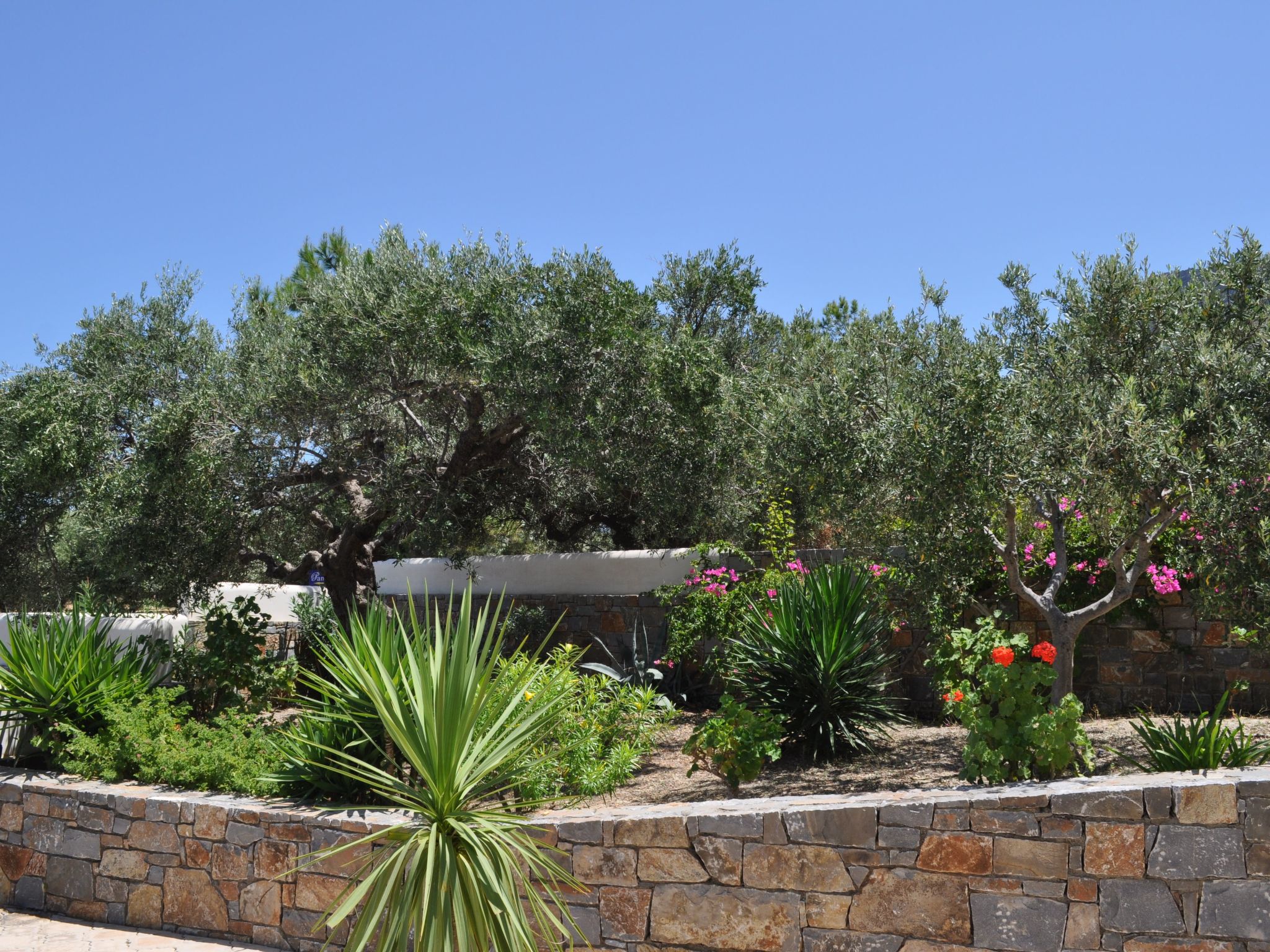 Nefeli Blue Villa in altem Olivenhain, Meerblick-Binnen