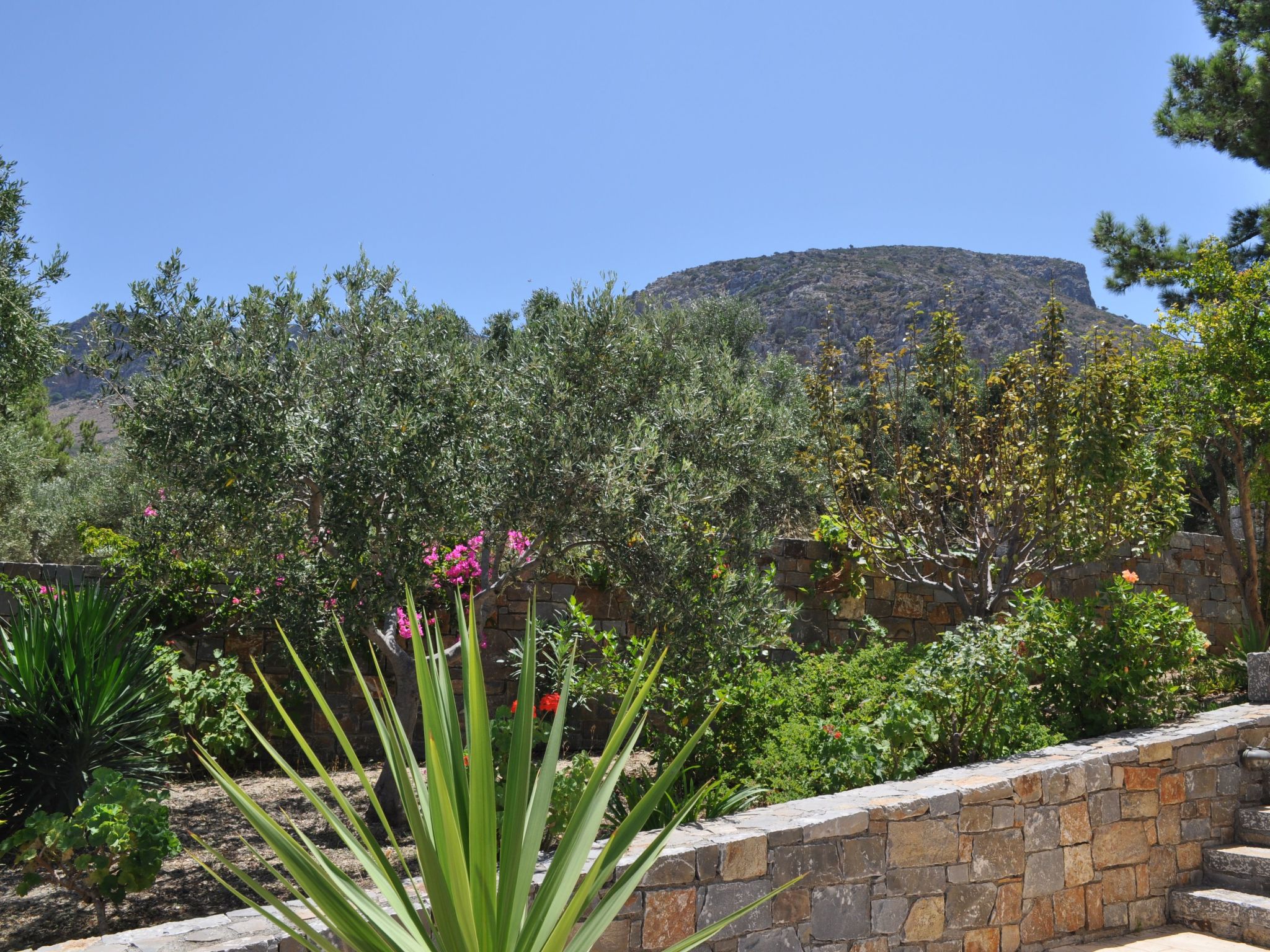 Nefeli Blue Villa in altem Olivenhain, Meerblick-Binnen