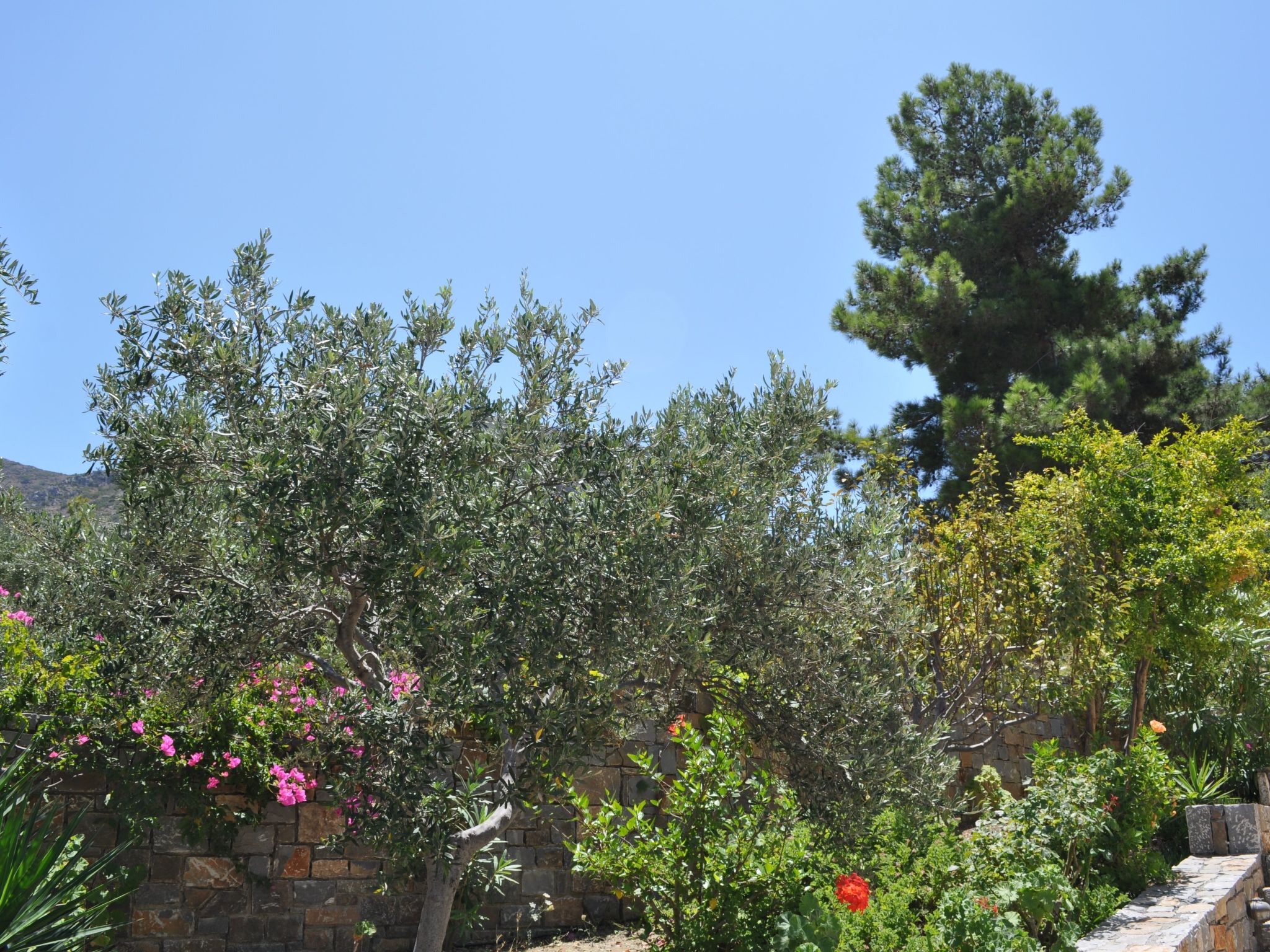 Nefeli Blue Villa in altem Olivenhain, Meerblick-Binnen