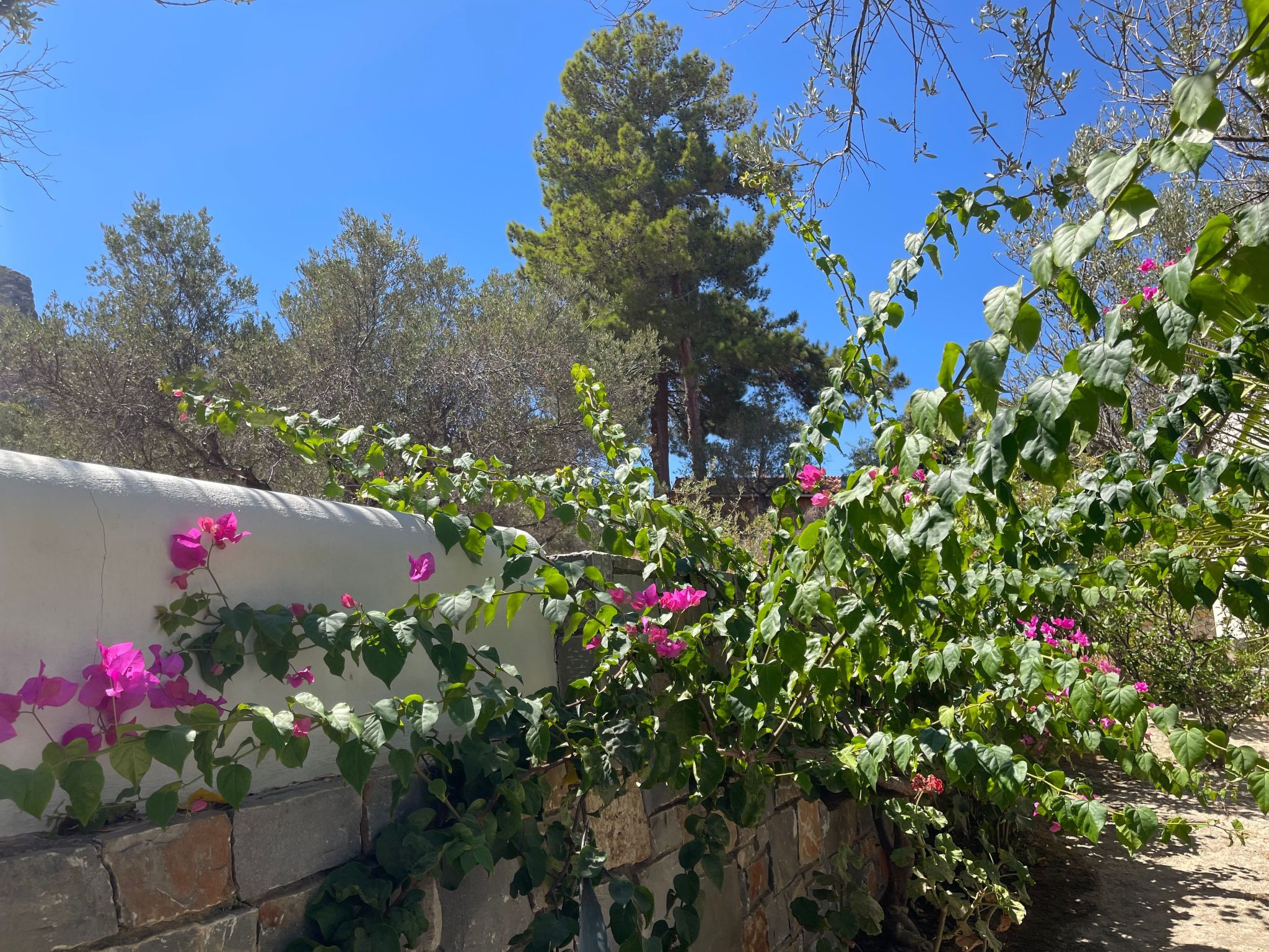 Nefeli Blue Villa in altem Olivenhain, Meerblick-Binnen
