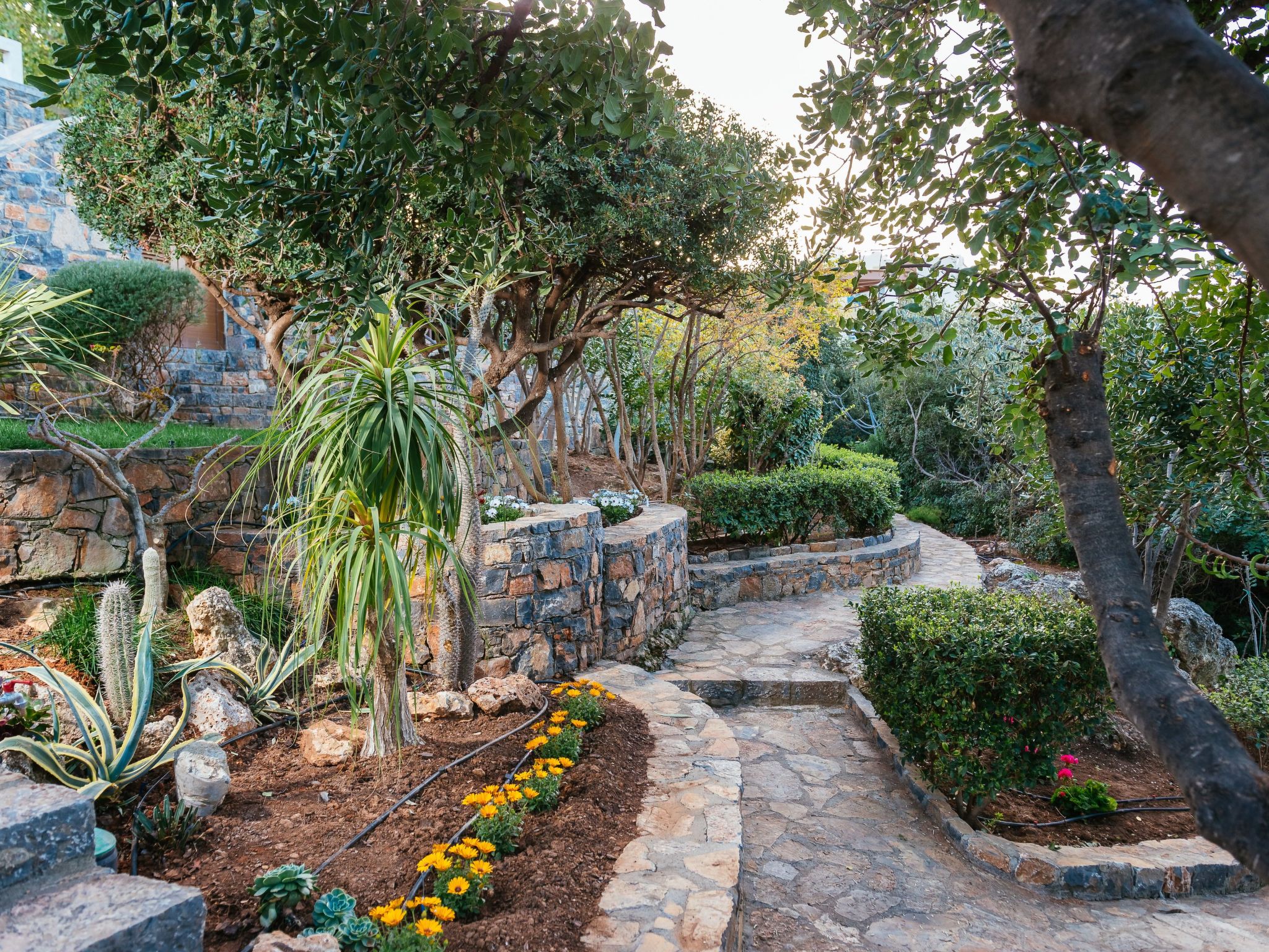 Agios Nikolaos Strand Villa-Draußen