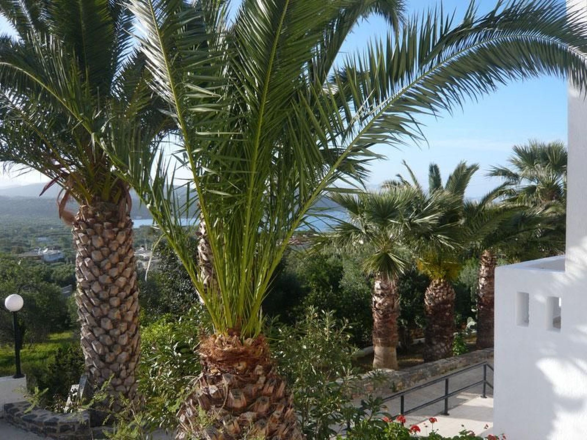 47552-Image-tags.info