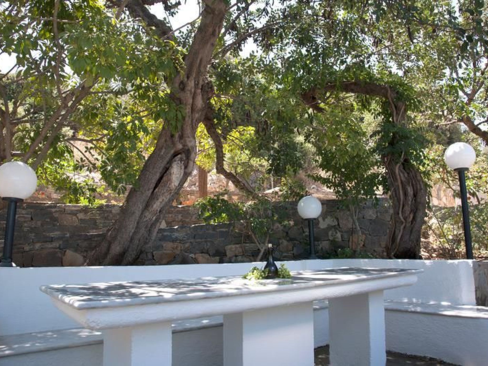 47552-Image-tags.info