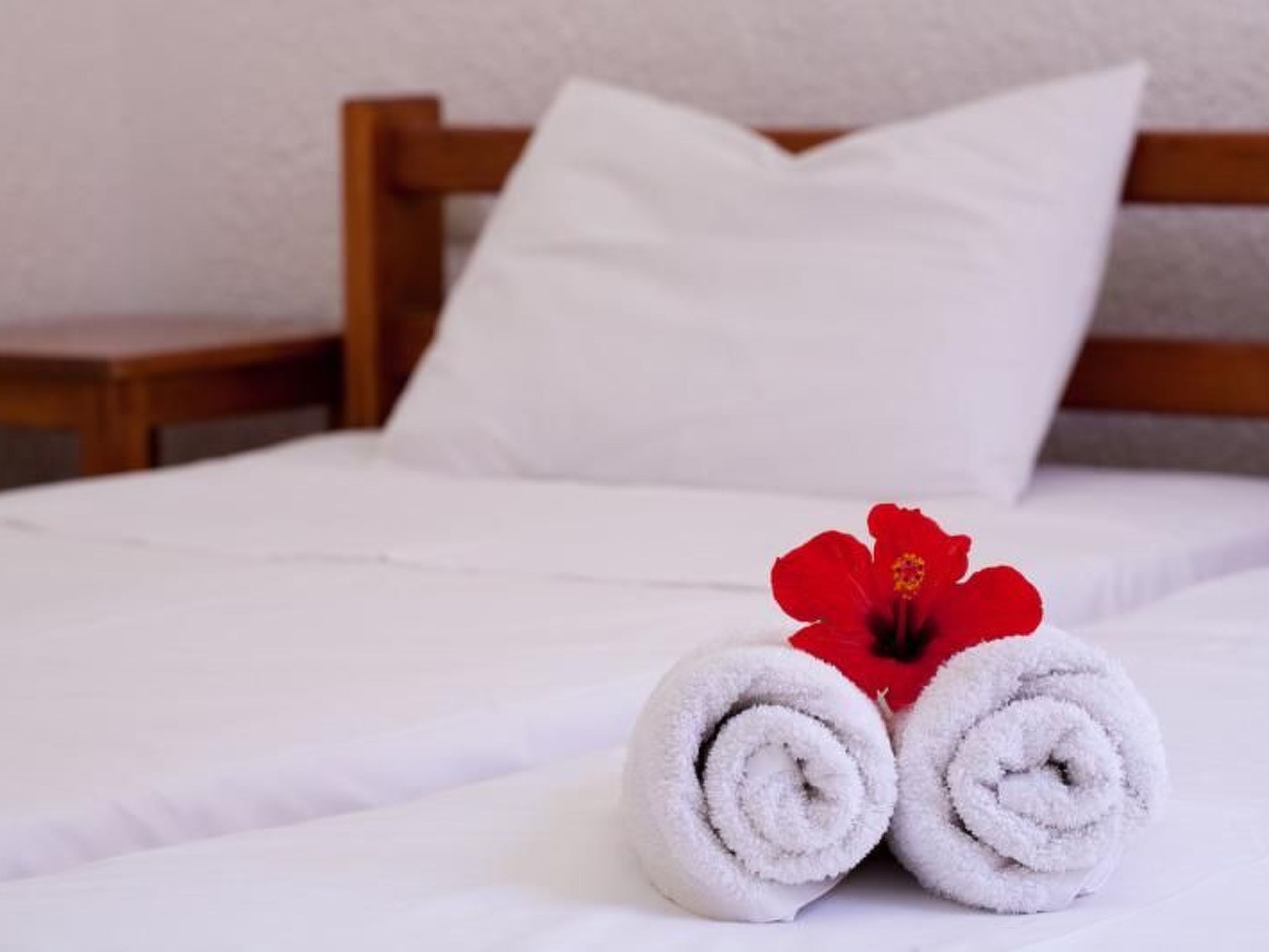 47552-Image-tags.info