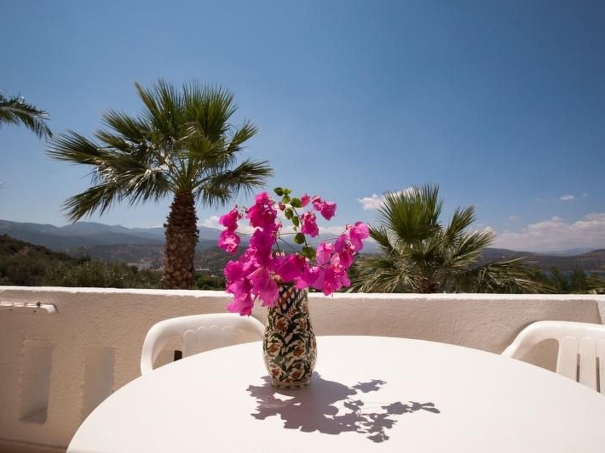 47552-Image-tags.info