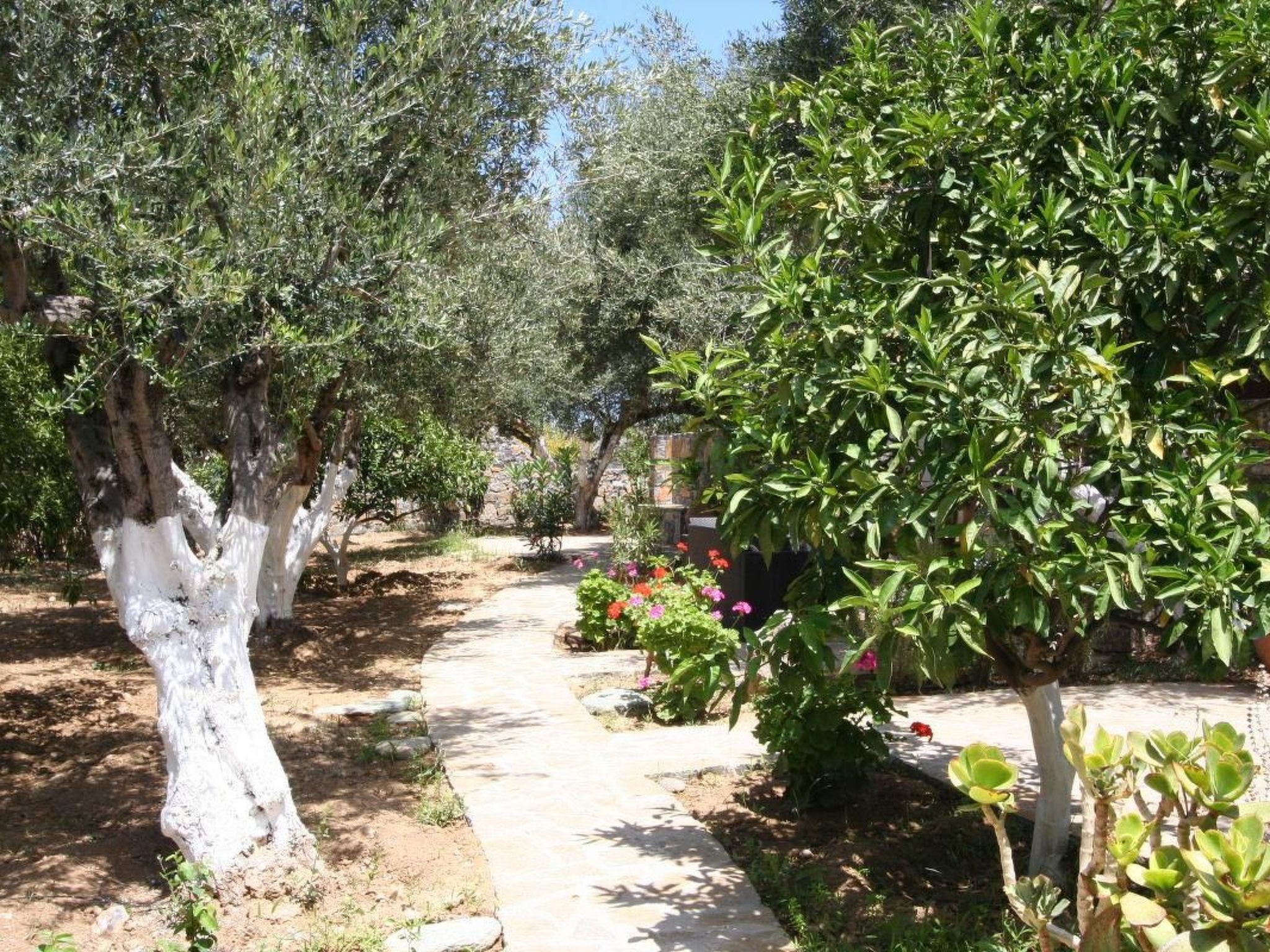 Wohnung mit Pool im Blumenparadies-Image-tags.info