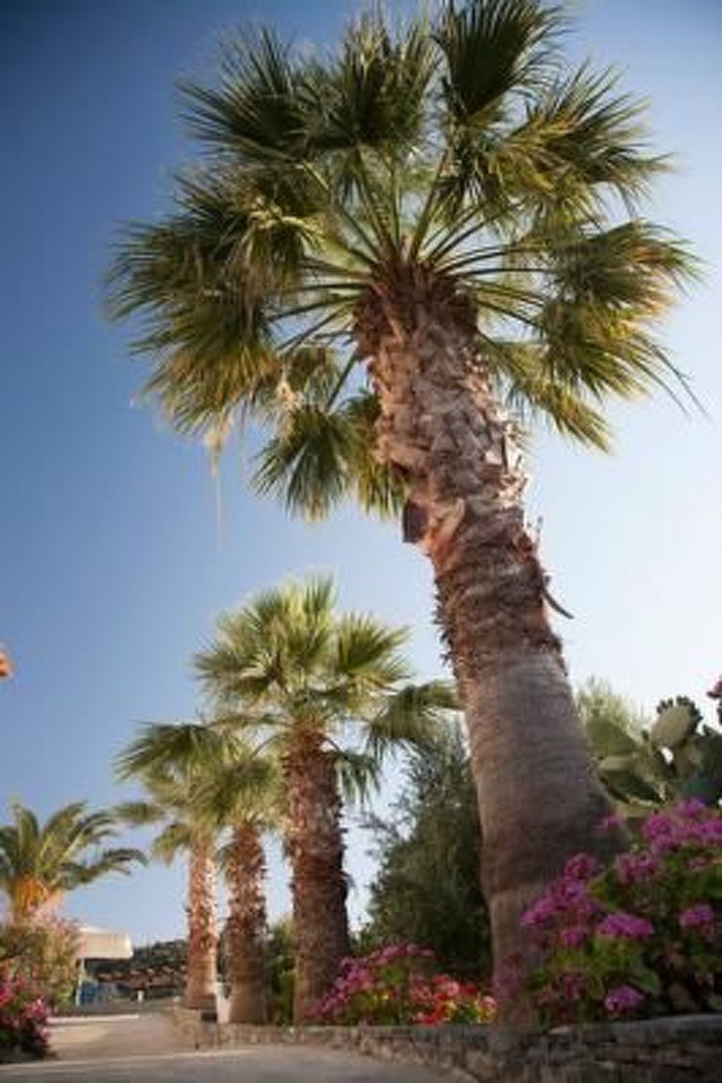 Wohnung Michalis in Agios Nikolaos mit Balkon-Image-tags.info