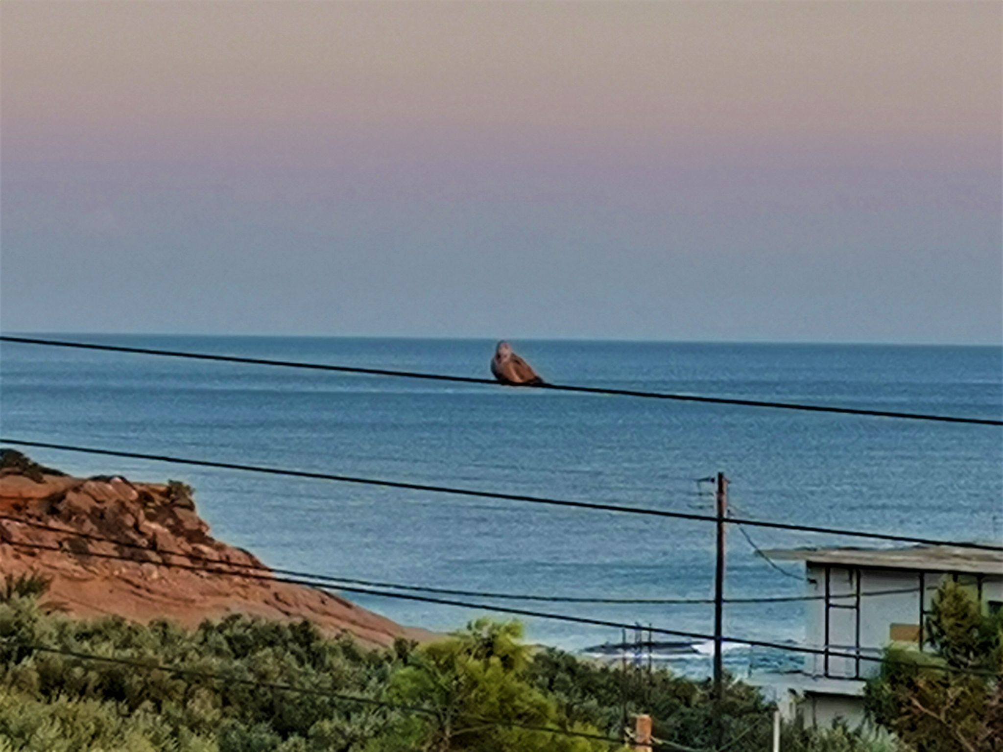 Wohnung mit Meerblick, Kreta, Ierapetra-Binnen
