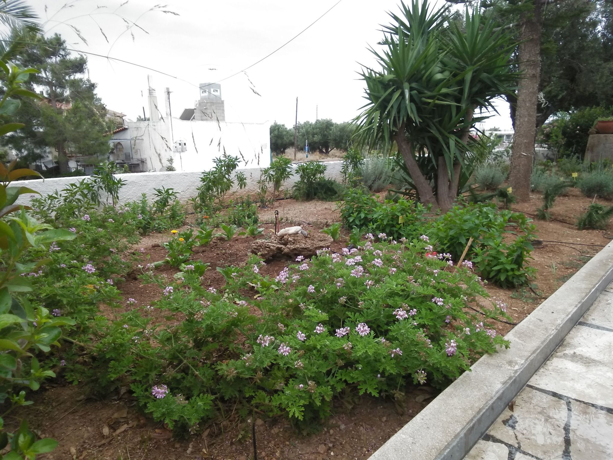Wohnung mit Meerblick, Kreta, Ierapetra-Binnen