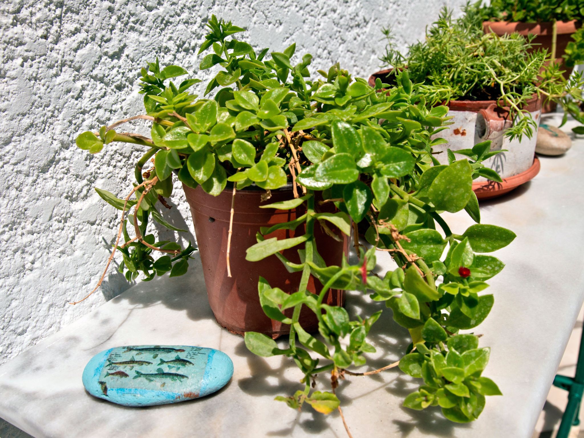 Wohnung mit Gartenblick, Kreta, Ierapetra-Binnen