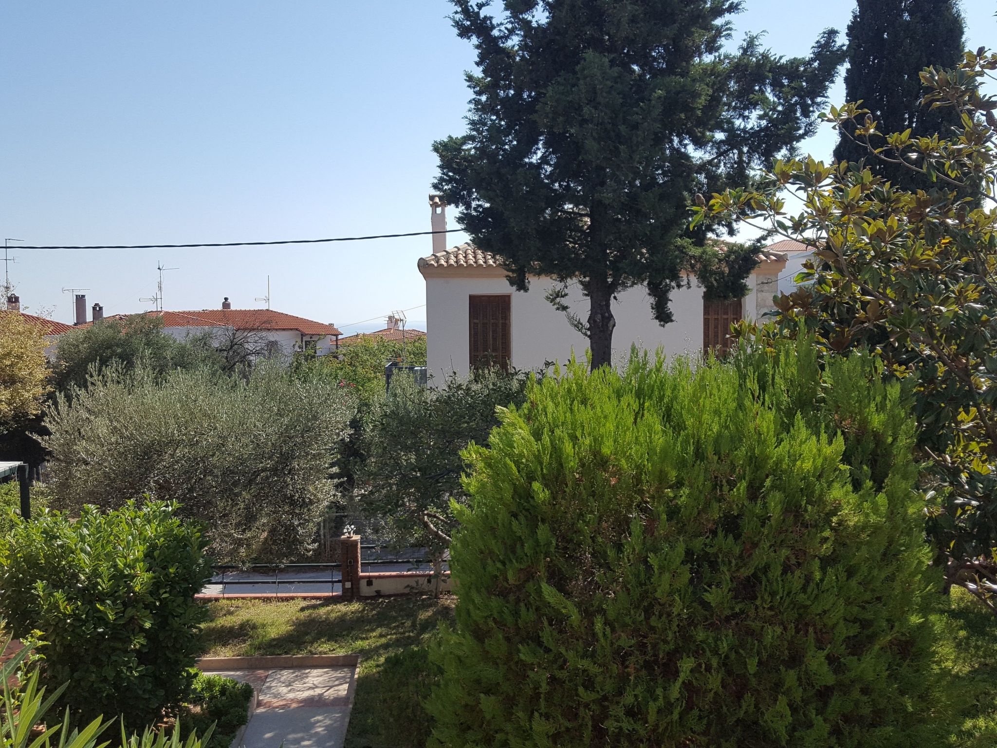 Elia Apartments Afytos-Image-tags.info